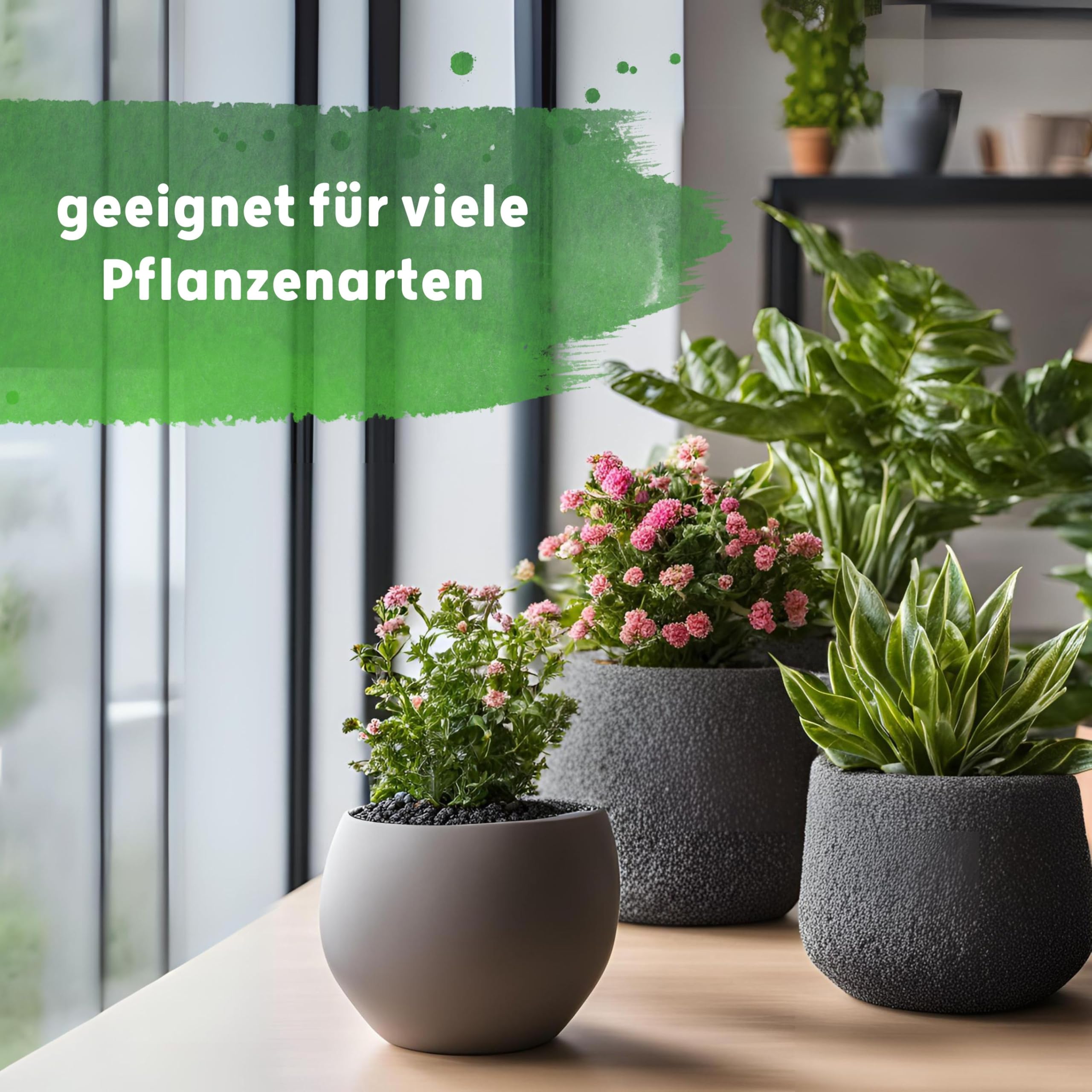 Langzeitdünger Lewatit HD 50 für Zierpflanzen in Hydrokultur | NPK mineralischer Dünger mit Ionenaustauscher 3-4 Monate Wirkung | Dose 500 ml Granulat