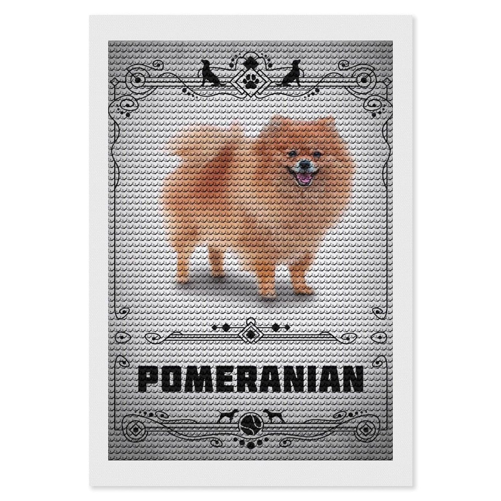 Junmoney Pomeranian Diamond Painting Canvas Set 8"x12", Full Kit Included, Calming Craft to Unwind, Farmhouse Decor, Christmas Gift