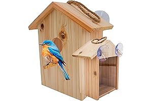 See-Through Spy Window Birdhouse for Ultimate Outdoor Bird Watching