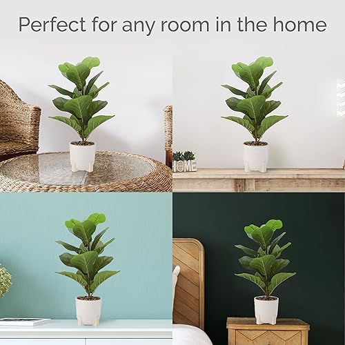 Miniatura 3 de Elements Higo artificial de hoja de violín de 10.63 x 10.63 x 21.26 pulgadas en maceta de cerámica blanca, Ficus Lyrata