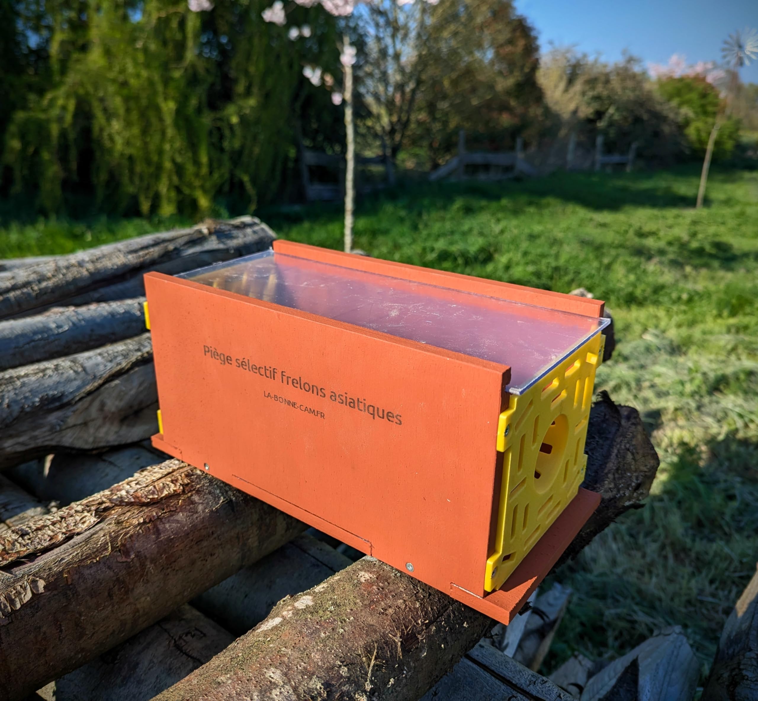 Piège Sélectif pour Frelons Asiatiques, Bois Contreplaqué Okoumé, Peinture à la Farine Rouge, Fabrication Artisanale (Sans kit appât facile)