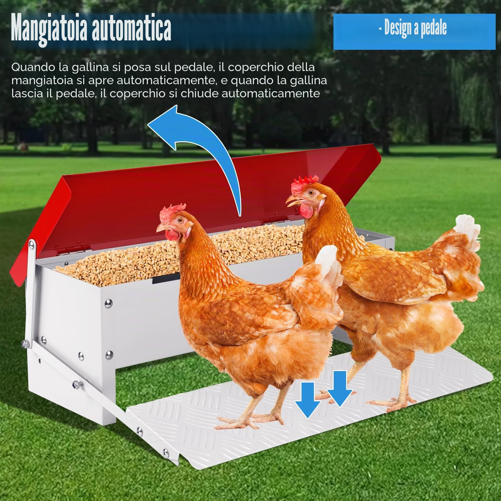 Mangiatoia Automatica per Polli, Mangiatoia per Pollame in Metallo a Pedale da 7 Kg, Mangiatoia per Anatre per Esterni Senza Rifiuti con Coperchio Resistente Alle Intemperie per 6-12 Polli