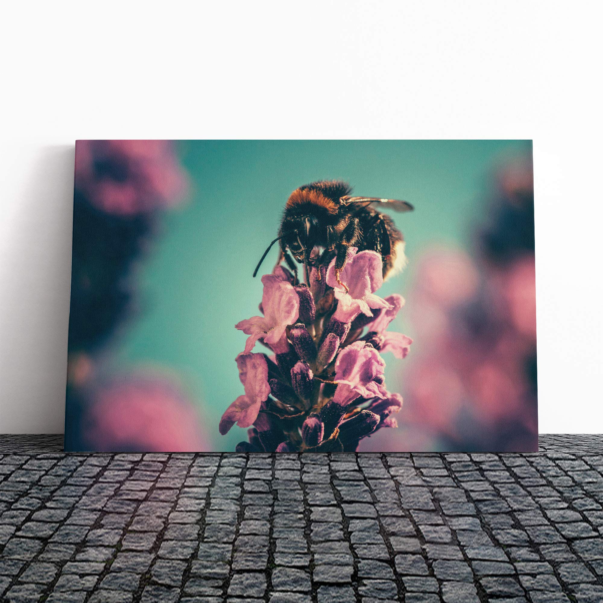 Bee on Pink Purple Flower Canvas Print | Gallery Wrapped 30mm Frame Wall Art | 30x20 inches | Ready to Hang | Modern Animals Picture | Living Room Bedroom Lounge Office