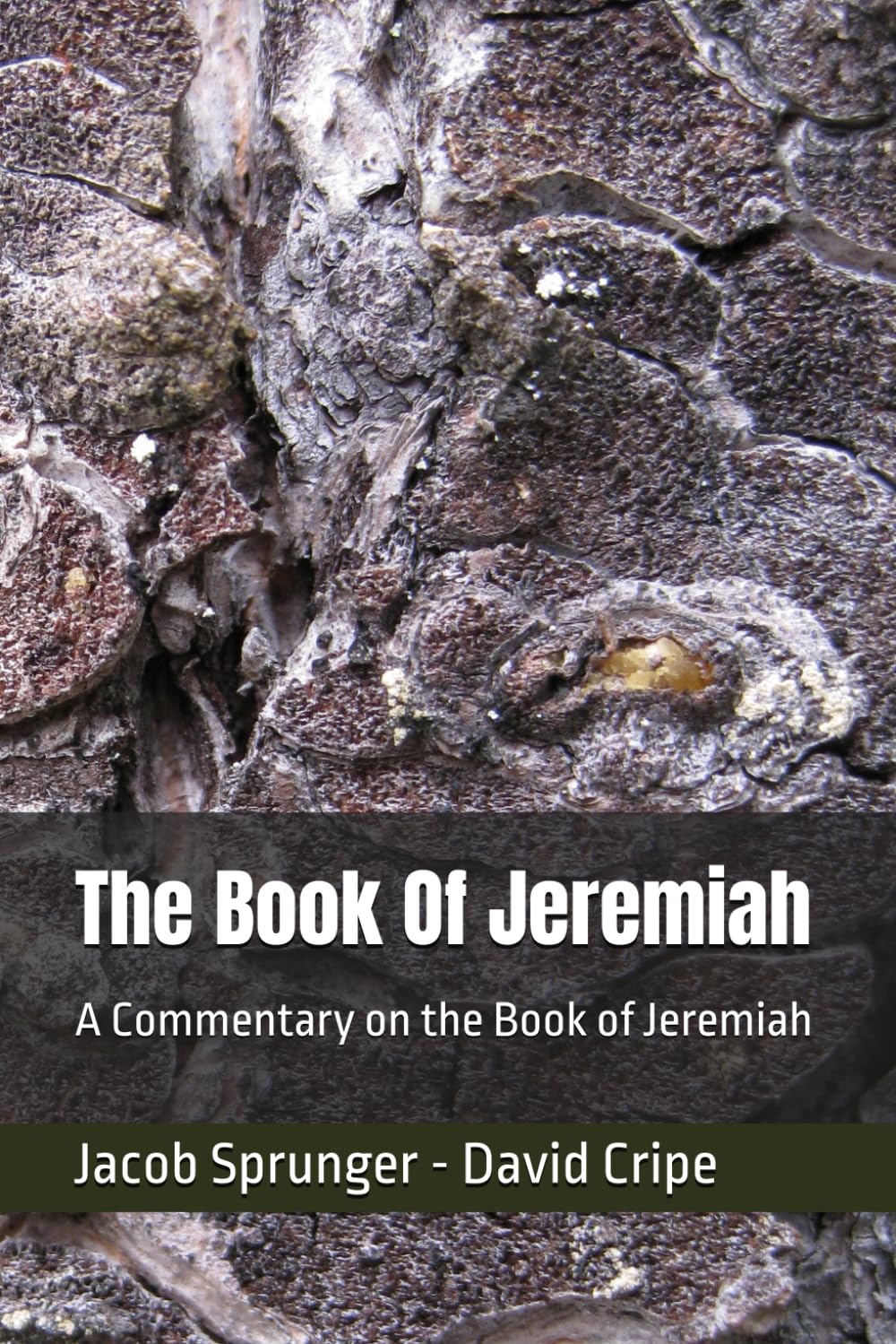 The Book Of Jeremiah: A Commentary on the Book of Jeremiah