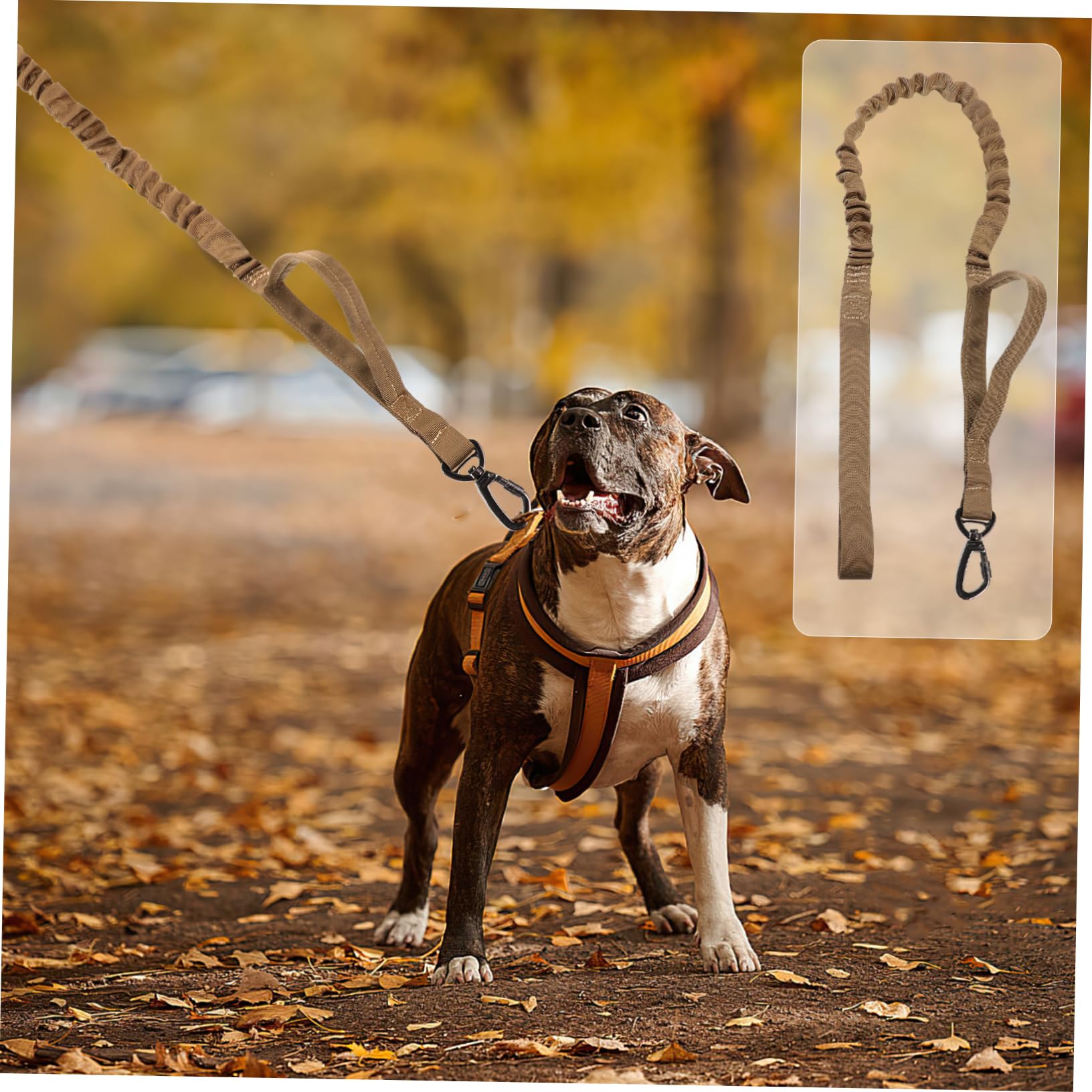 Beavorty Guinzaglio Da Addestramento Per Cani in Nylon Regolabile Da 3 Pezzi Robusto Confortevole E Con Rilascio Rapido Per Attività Allaperto