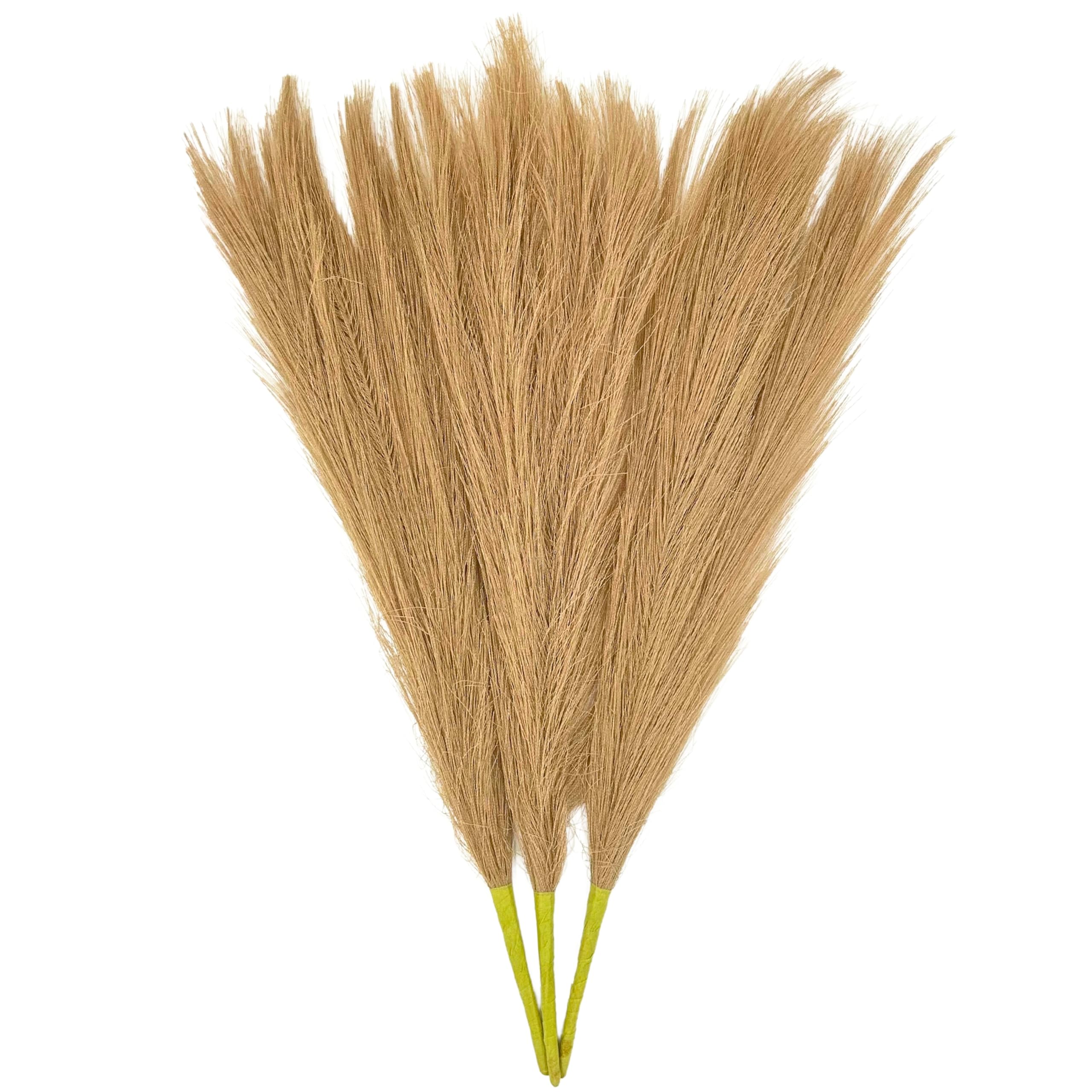 Tdas Artificial Pampas Grass Fluffy Plants for Home Decor Flowers Decoration Decorative Fake Items Living Room pots Aesthetic Table vase House Bedroom Boho – 42 cm, – 3 Pcs (Light Brown) (B0D7N56KTR) Amazon Price History, Amazon Price Tracker
