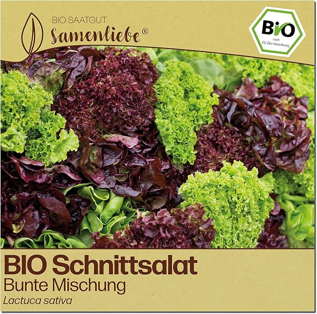 Samenliebe Samenliebe Schnittsalat samenfestes Gewächshaus Gemüsesamen — Saatgut