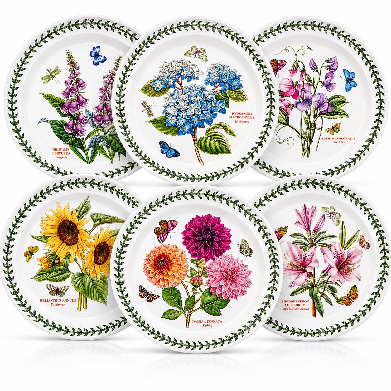 Portmeirion Botanic Garden Dinner Plates