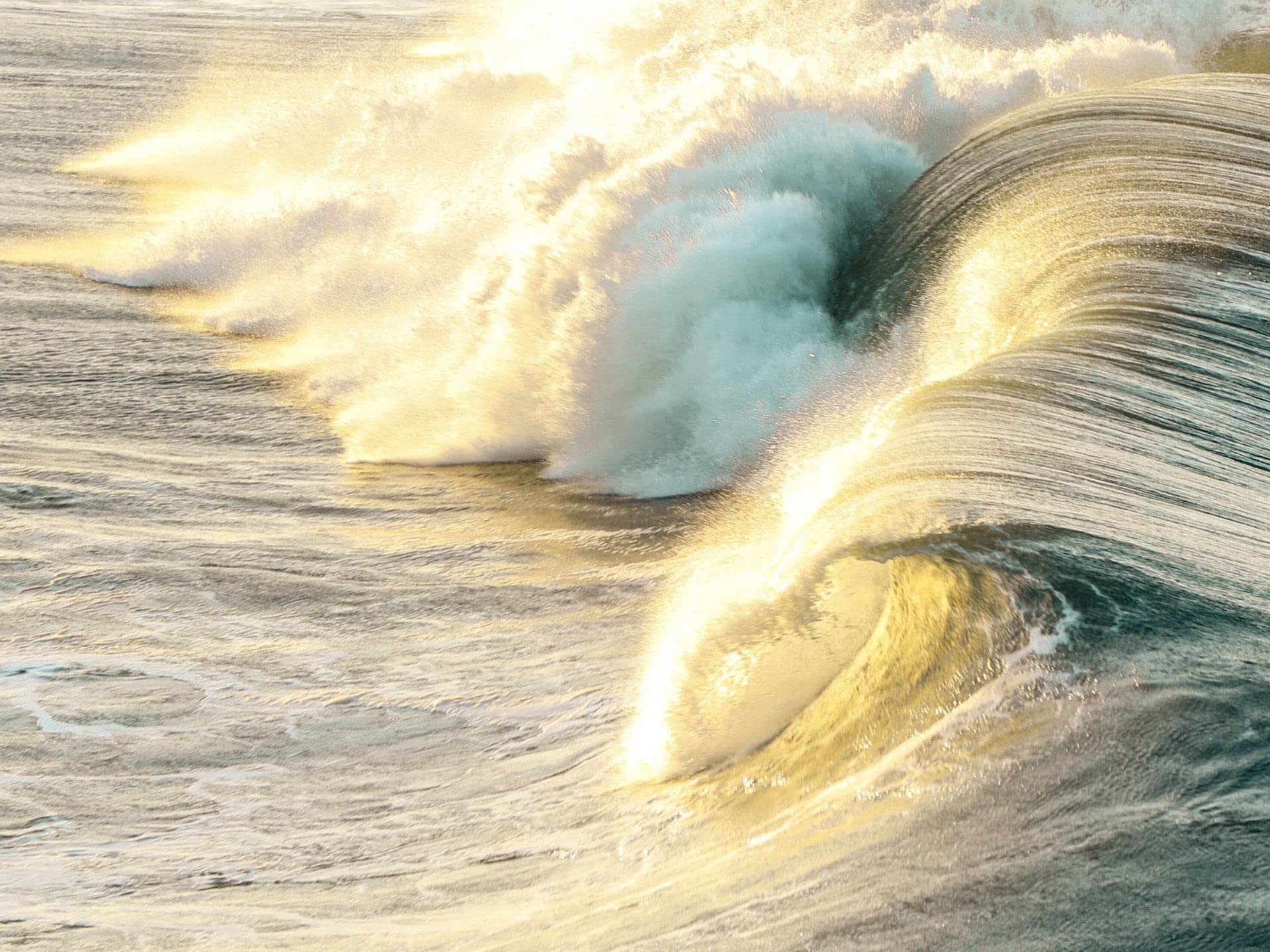 Waves of The Caribbean