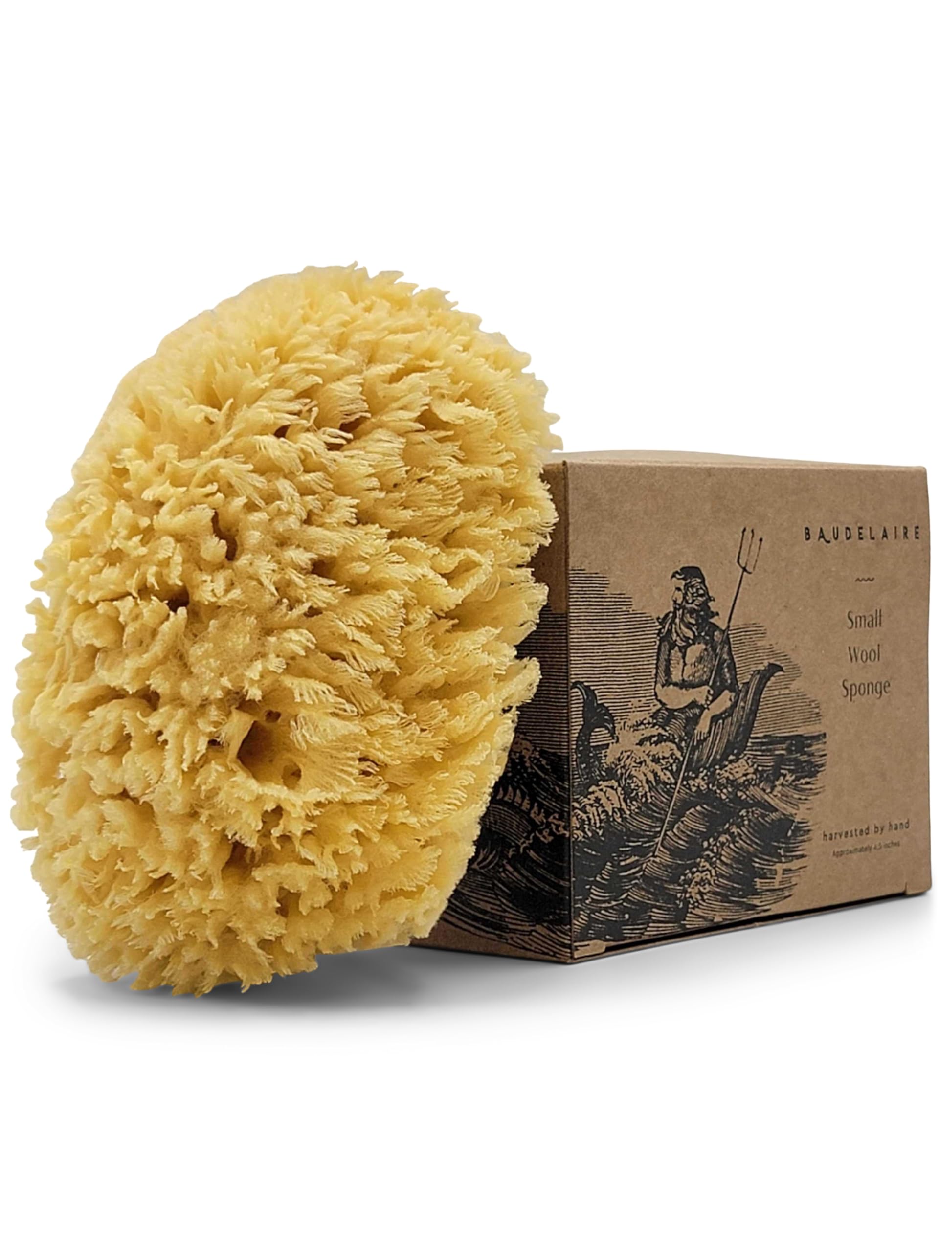 Sea Wool Sponge 5.5" - Natural Sea Sponge for Bathing and Shower - Durable, Sustainable & Environment-Friendly Loofah for Body