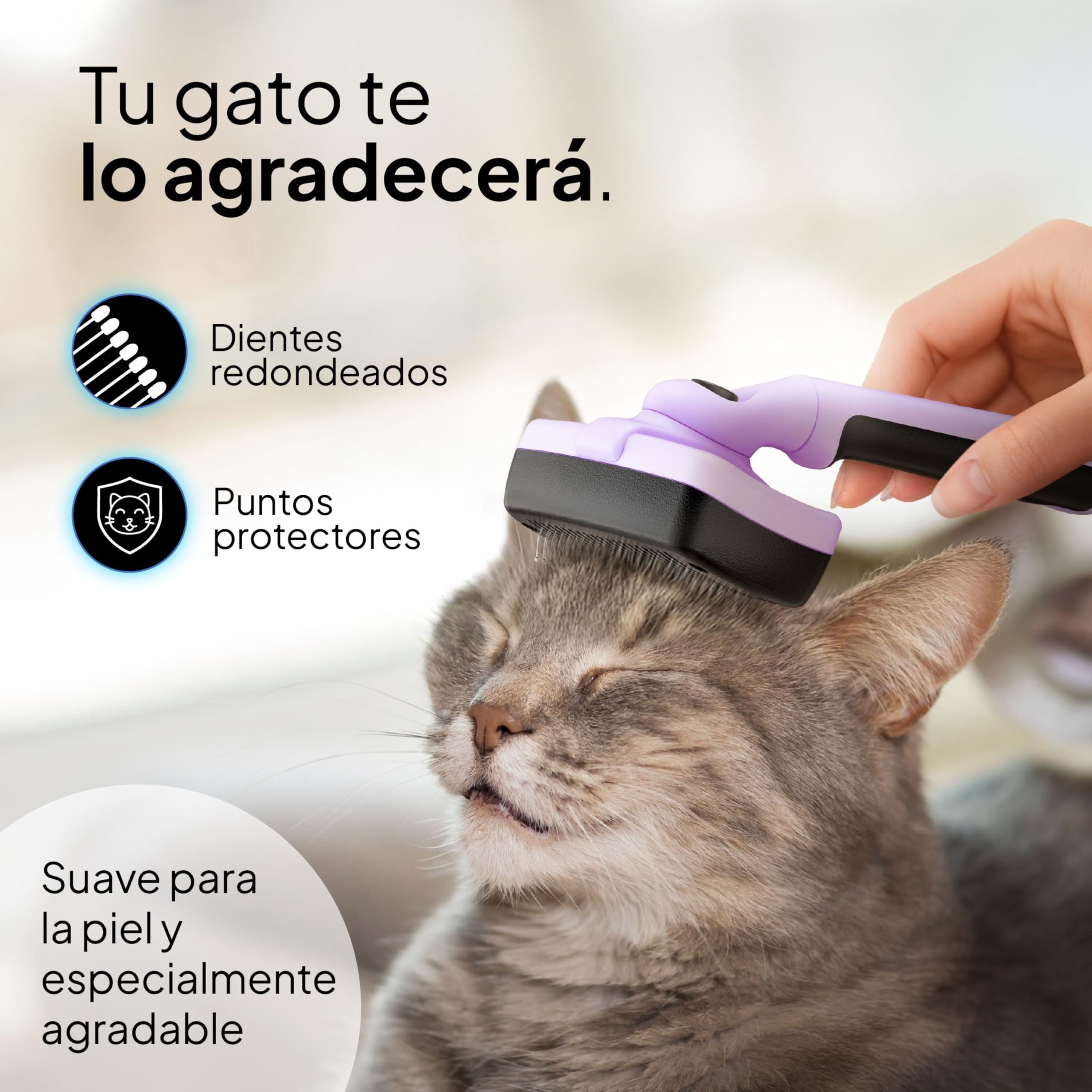 Pretty Paw Cepillo para gatos - Set de cepillado 2 piezas con carda y peine fino, cuidado suave durante la muda (Lavanda)