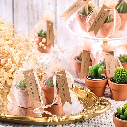 Miniatura 3 de MTLEE 24 velas suculentas a granel, velas de plantas de baby shower, velas novedosas para plantas de terrario con maceta de terracota, bolsas de