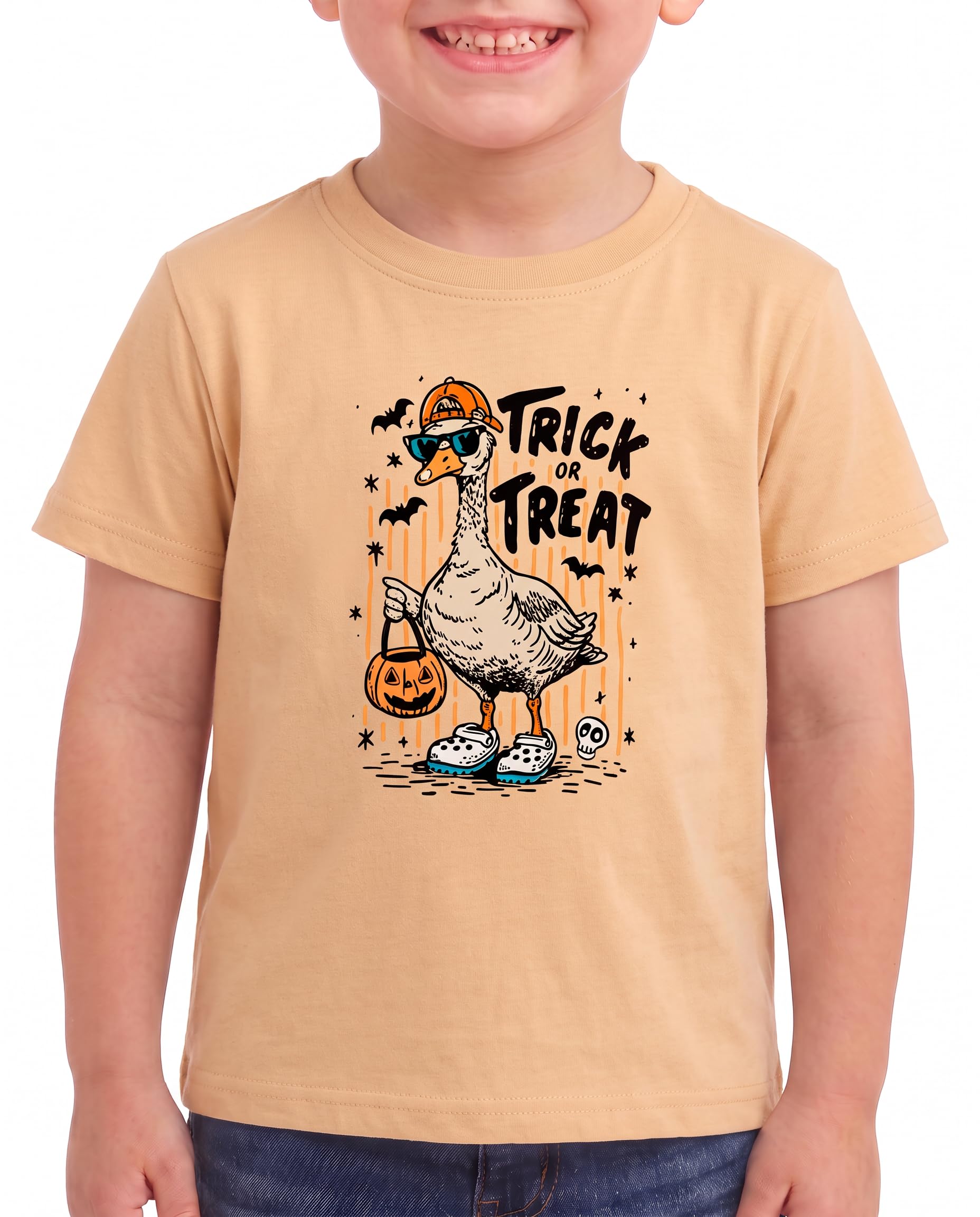 Boys Short Sleeve Funny Graphic Tees for Toddler to Big Kid