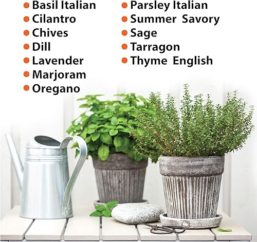 Miniatura 2 de Juego de 12 semillas de hierbas culinarias de reliquia, 3800 semillas para plantar en interiores y exteriores, albahaca, cilantro, cebollino,