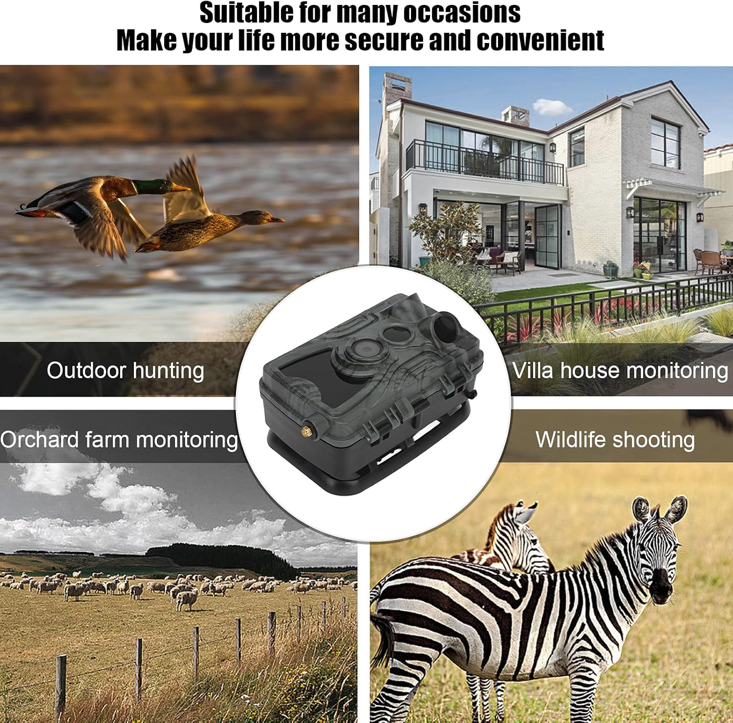 Comparison image showing a fox in daylight and the same fox at night, demonstrating the camera's 24-hour shooting capability with night vision.