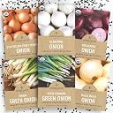 onion seeds Top2商品