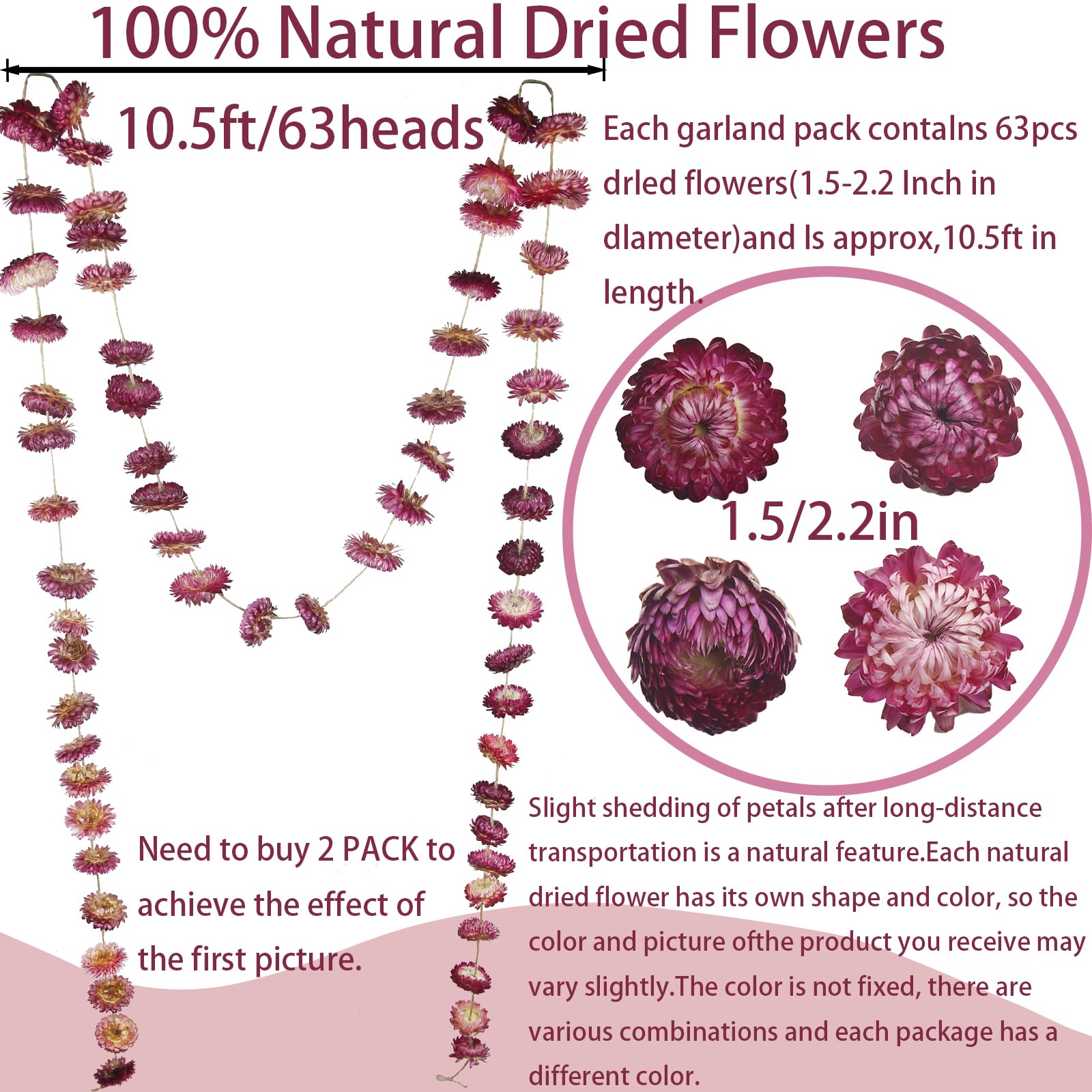 CITYES Guirlande de fleurs séchées avec marguerites naturelles et tournesols, 3,2 m, 63 pièces. Arrangement de fleurs séchées de marguerites et gerberas naturelles, décoration de mariage, style bohème