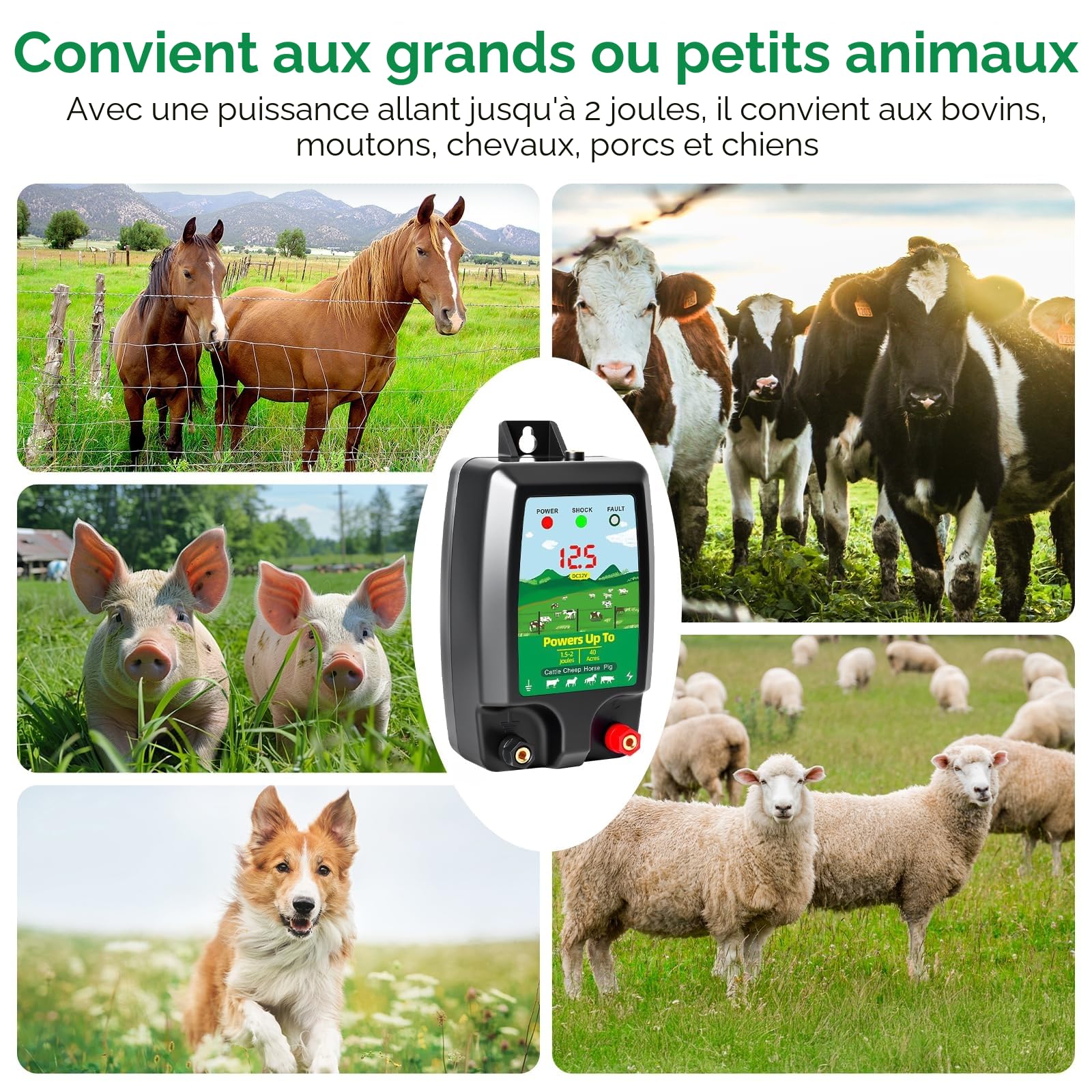 Dispositif de clôture électrique 12 V avec affichage LED, portée 15 km, 2 Joules, 12 kV, pour la protection des animaux de ferme, de la volaille, des pâturages et des jardins (B)