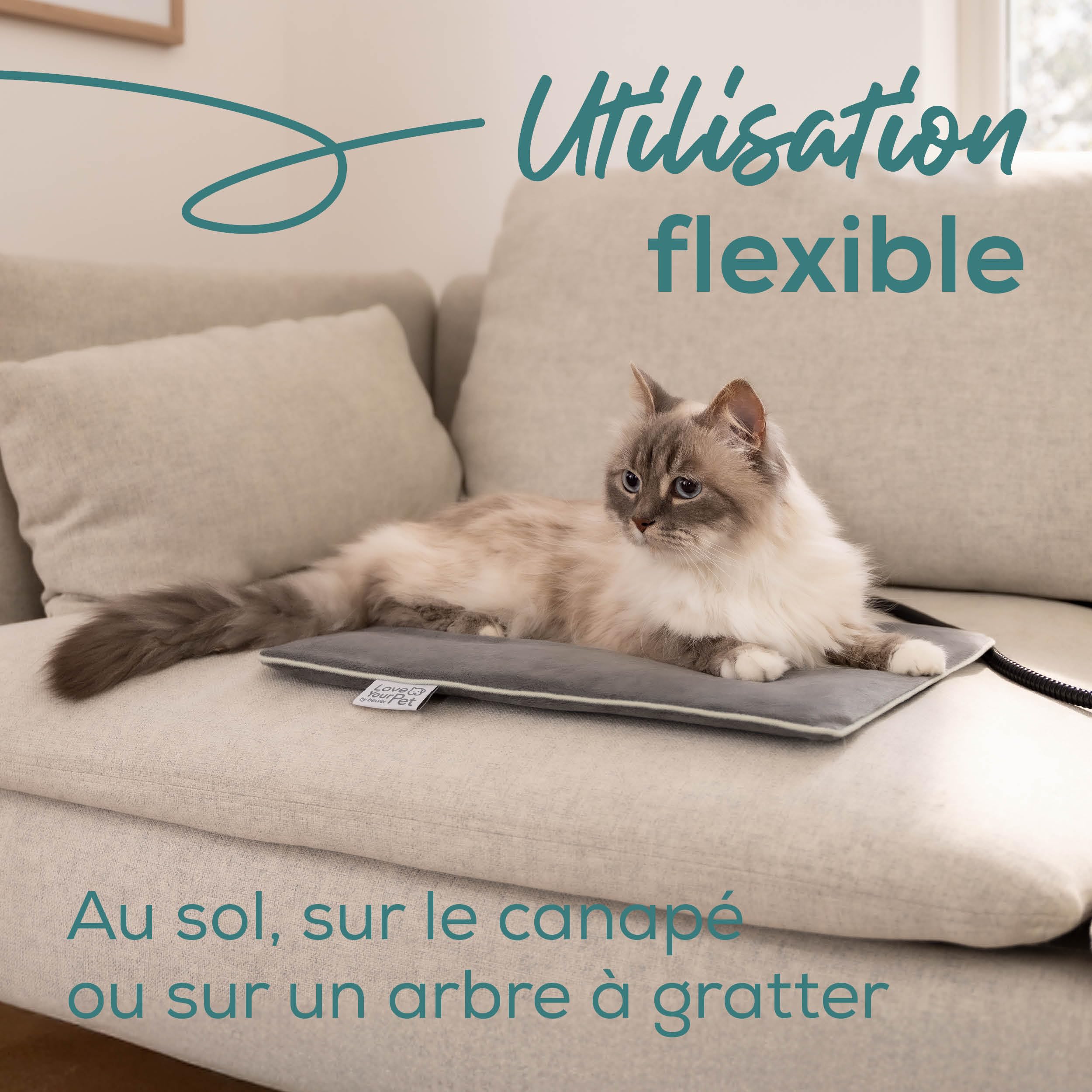 Beurer Love Your Pet Tapis Chauffant S « Lilli » pour Chiens et Chats, avec minuteur, Petite Couverture pour Chien, Lavable à 30 °C, résistant aux Rayures et étanche, 41 x 34 cm