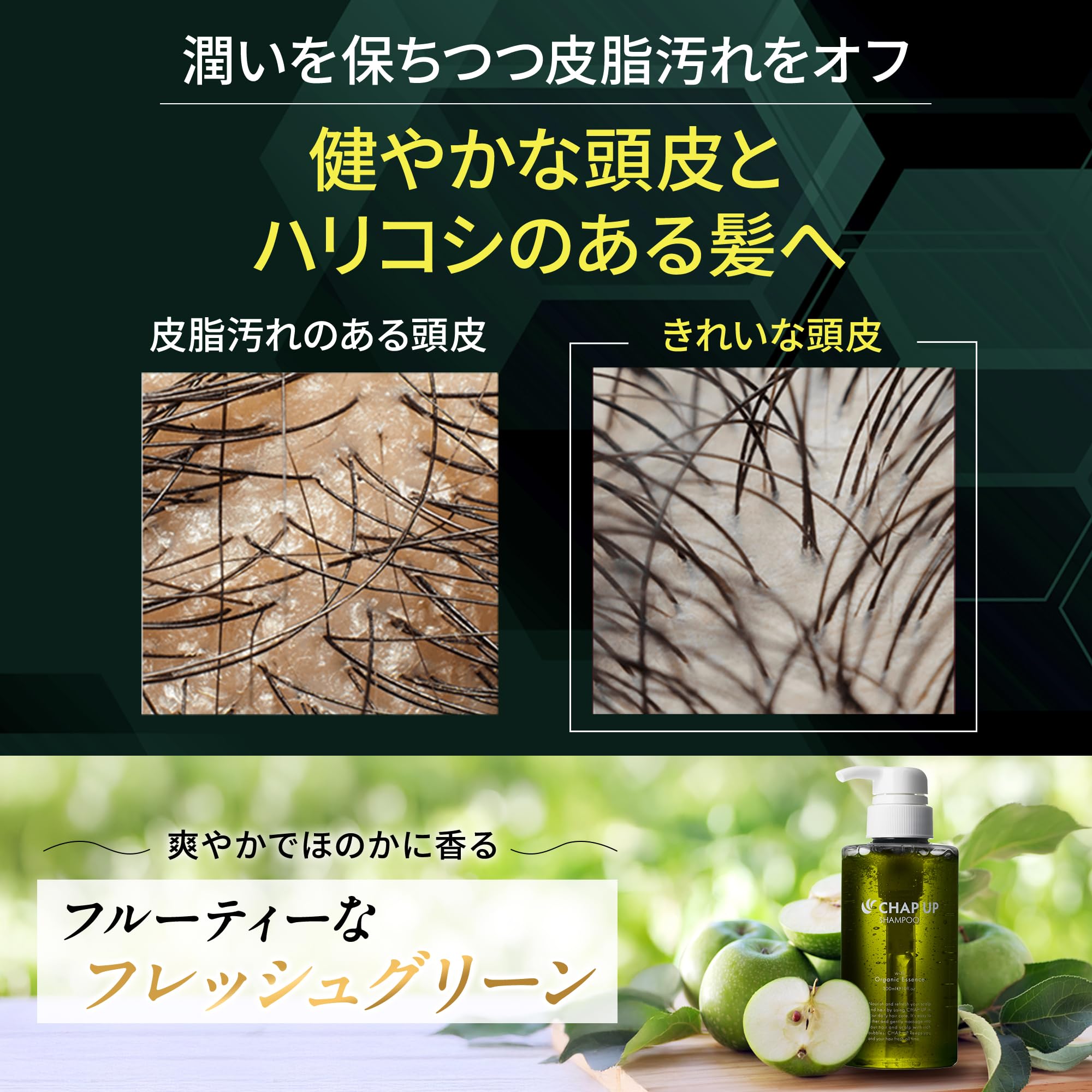 Amazon.co.jp: チャップアップ（CHAPUP）