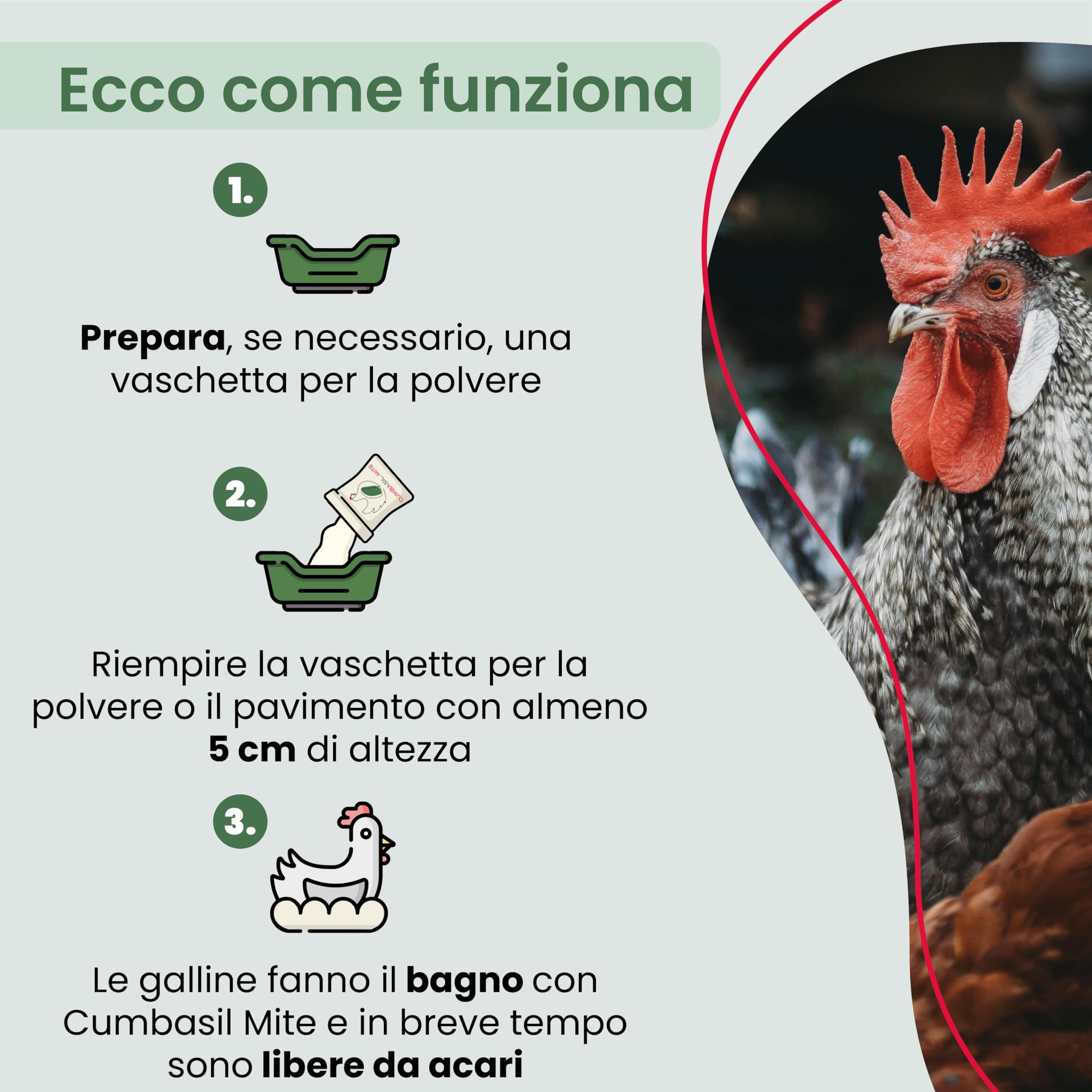Bagno di polvere antiacaro per polli 25 kg, bagno di sabbia in polvere contro gli acari, rimedio antiacaro per polli, protezione antiacaro naturale, polvere