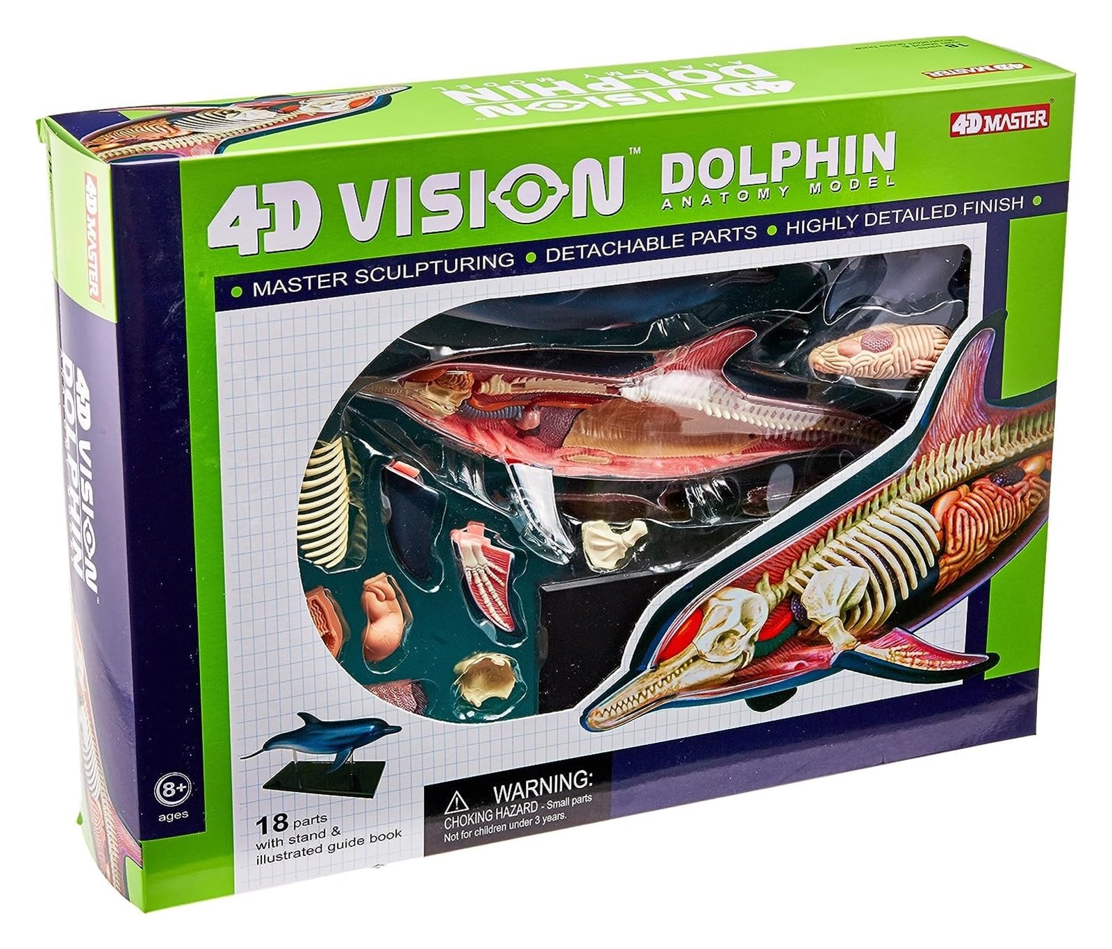 Amazon.co.jp: 解剖学モデル 4D-Vision イルカ解剖学モデル、動物教育