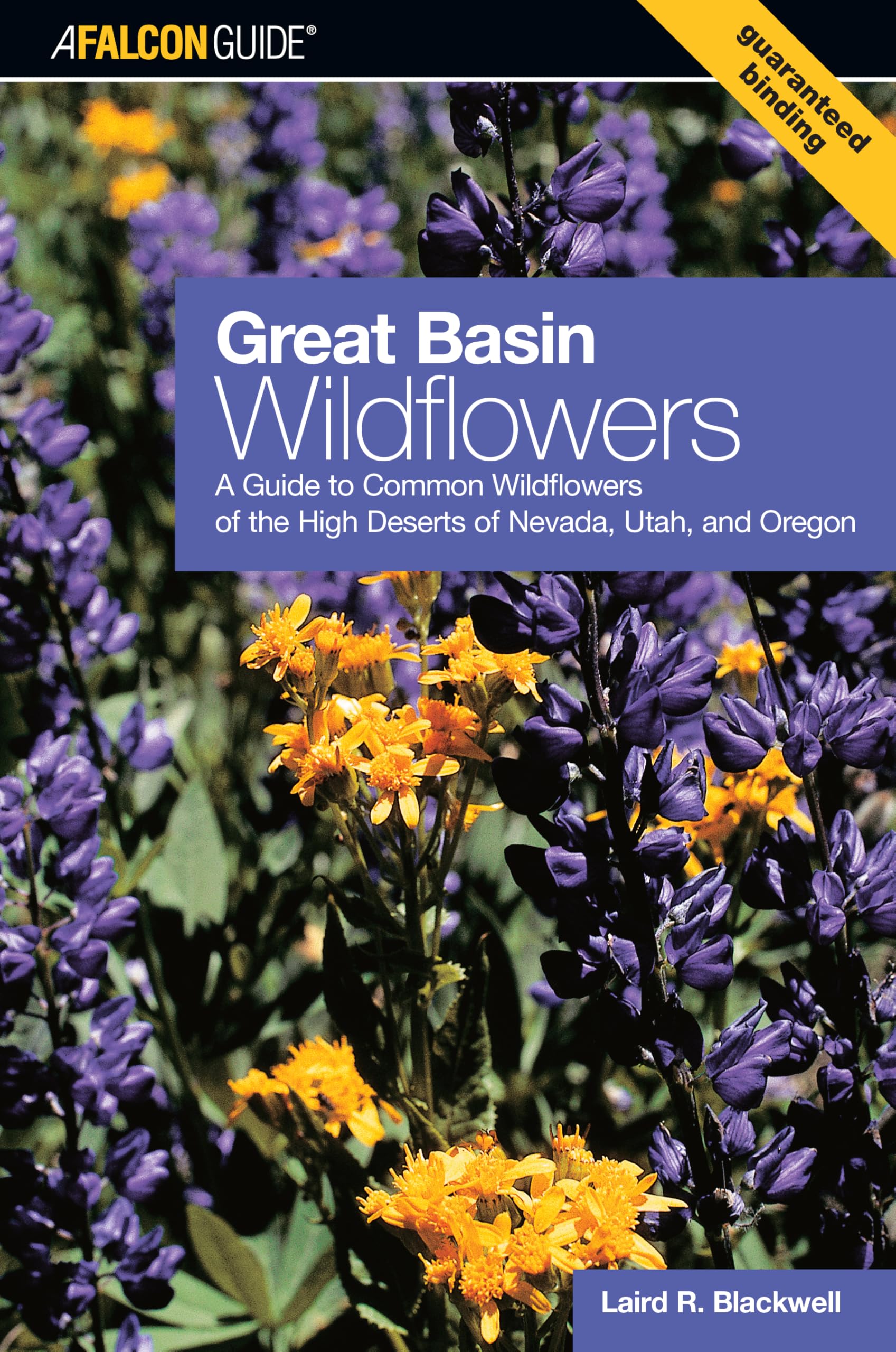 Great Basin Wildflowers (Wildflower Series)