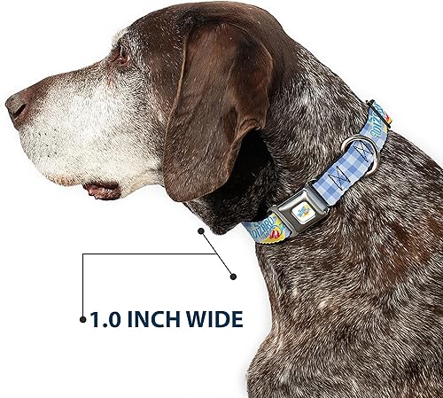 Miniatura 6 de Movies - Collar para mascotas, collar de perro, hebilla de metal para cinturón de seguridad, el mago de Oz Logo Gingham Checker Blues, 15 a 24