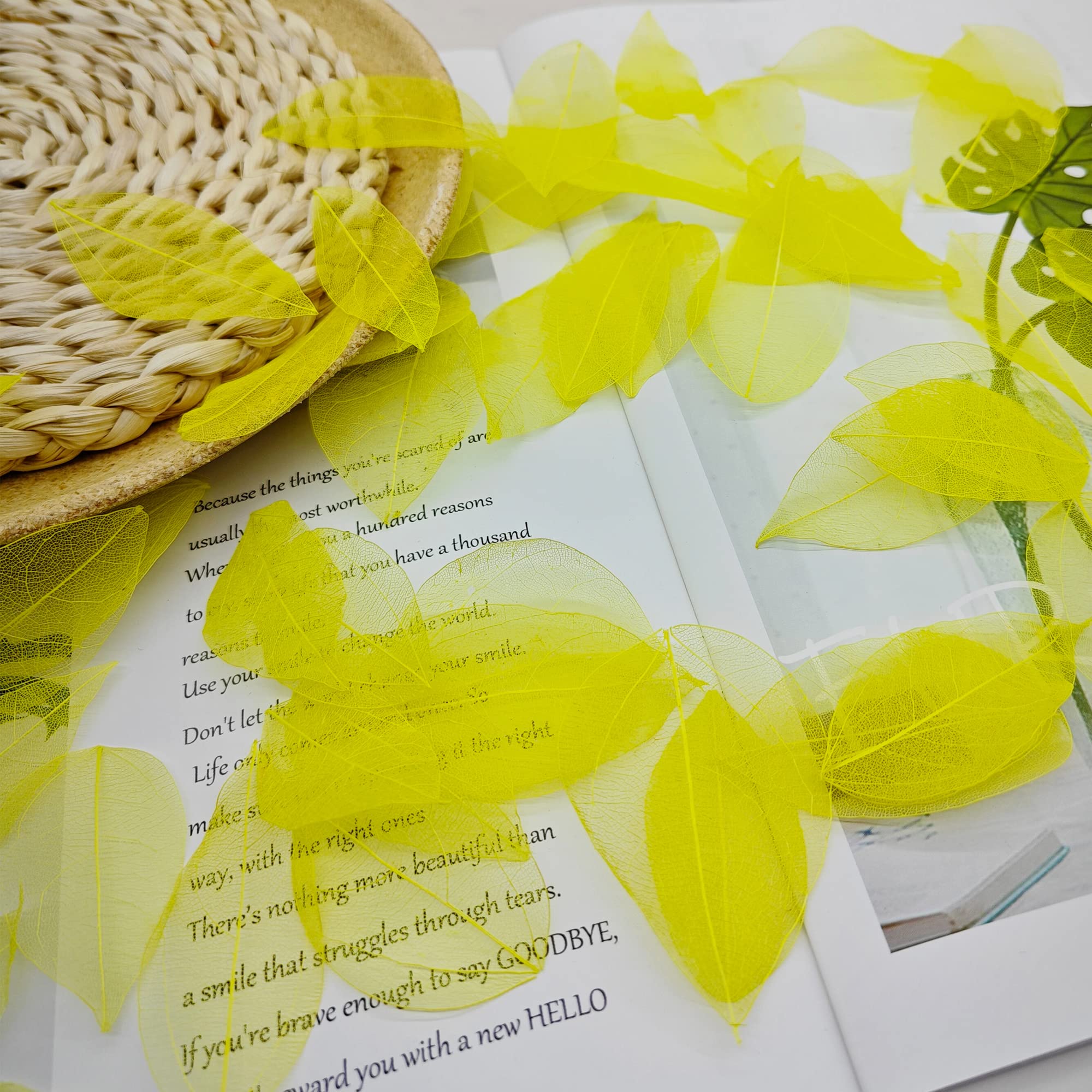 Foglie Scheletro Naturali - 50 Pezzi, Foglie Secche Per DIY, Scrapbooking, Decorazione, Colore Rosa - Foto 3