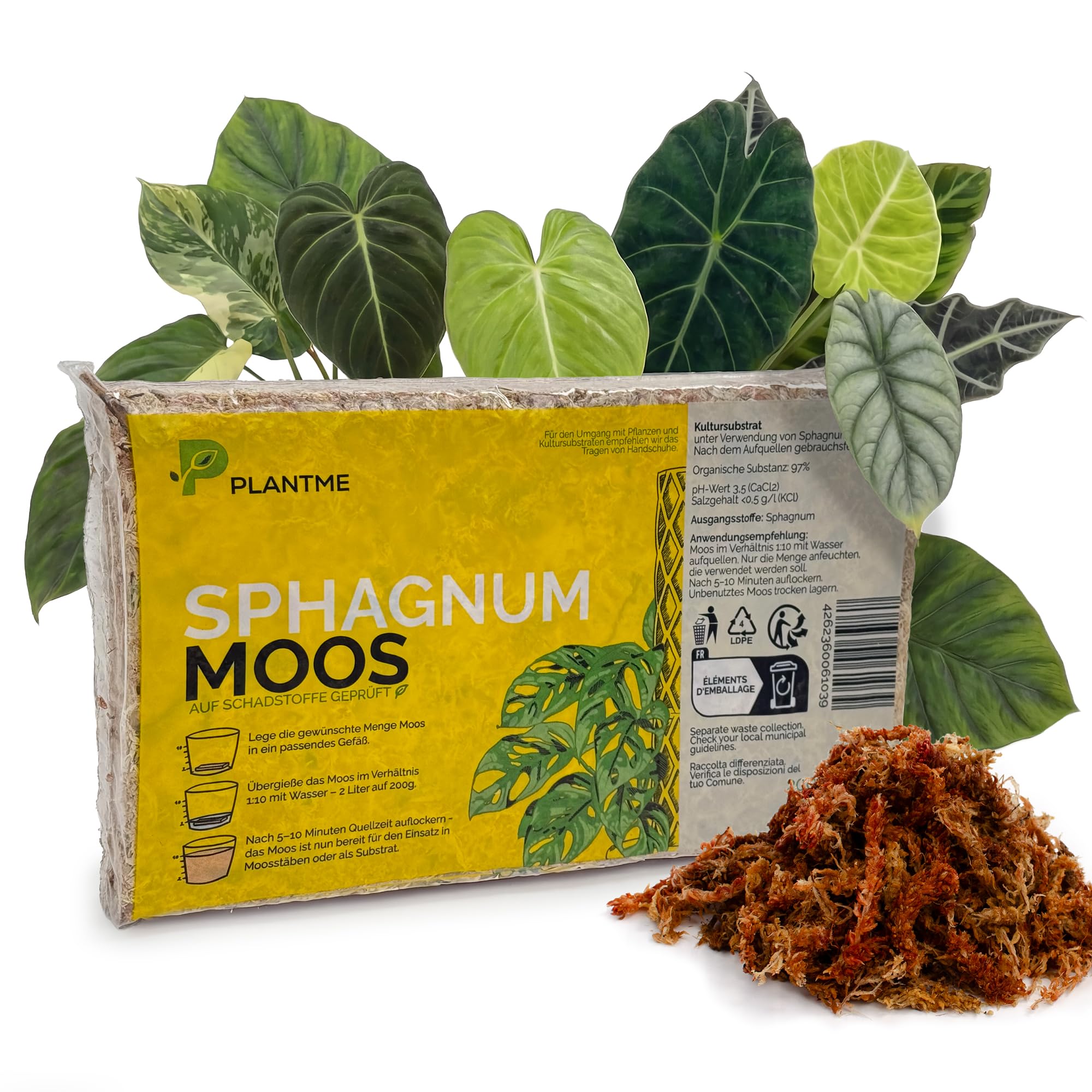 PlantMe Sphagnummoos aus Chile, gepresst 100g (ergibt ca. 5 L) – langfaseriges Moos für Zimmerpflanzen, Moosstäbe, Monstera, Philodendron, Alocasia, Orchideen & Karnivoren
