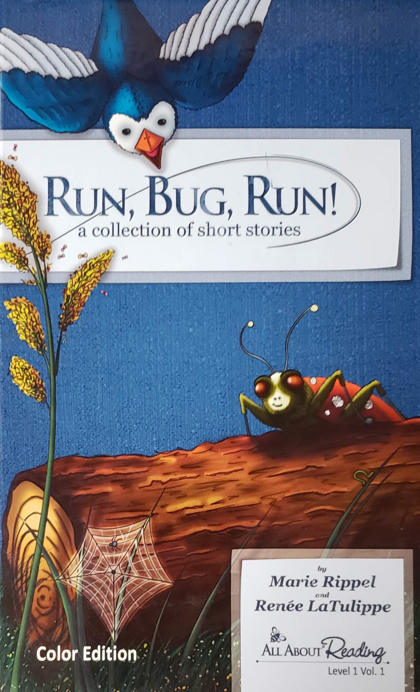 Run, Bug, Run! A Collection of short stories