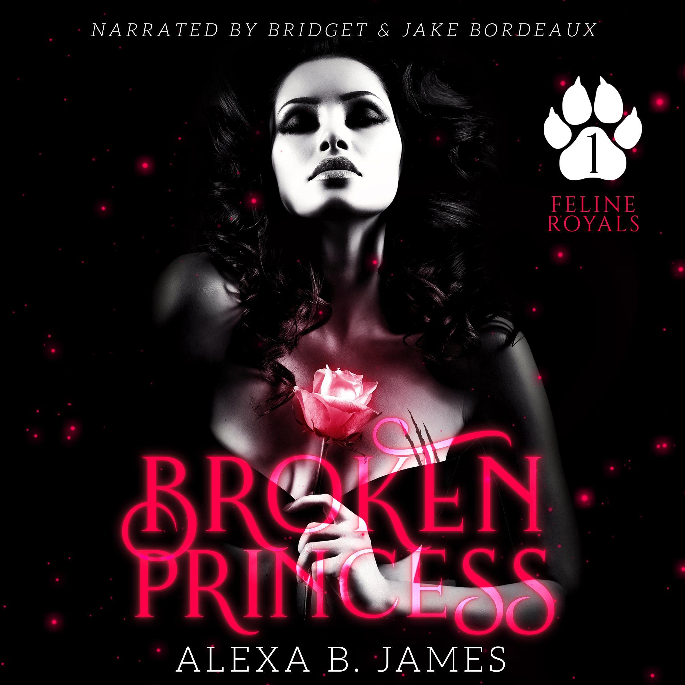 Cover art for Broken Princess