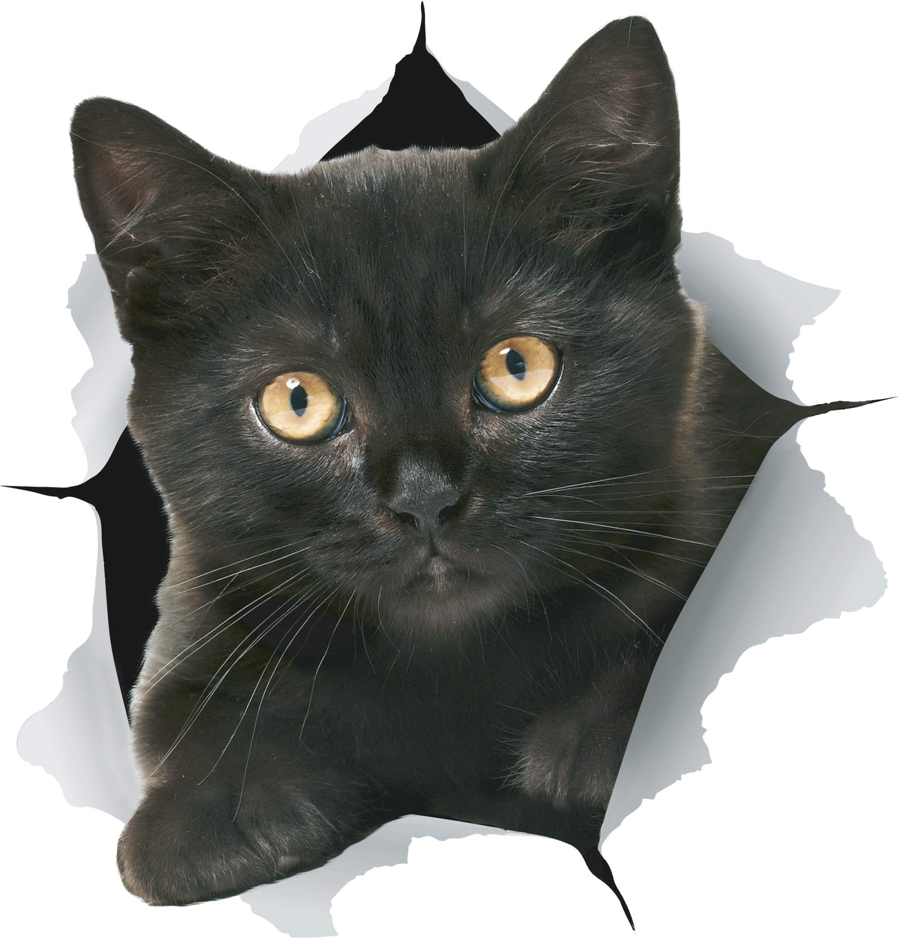 - Winston & Bear 3D Cat Stickers - 2 Pack - Black Wall Decals - Lover Gifts - Stickers for Bedroom, Fridge, Toilet, Car - Retail Packaged (Cheeky Black Cat)