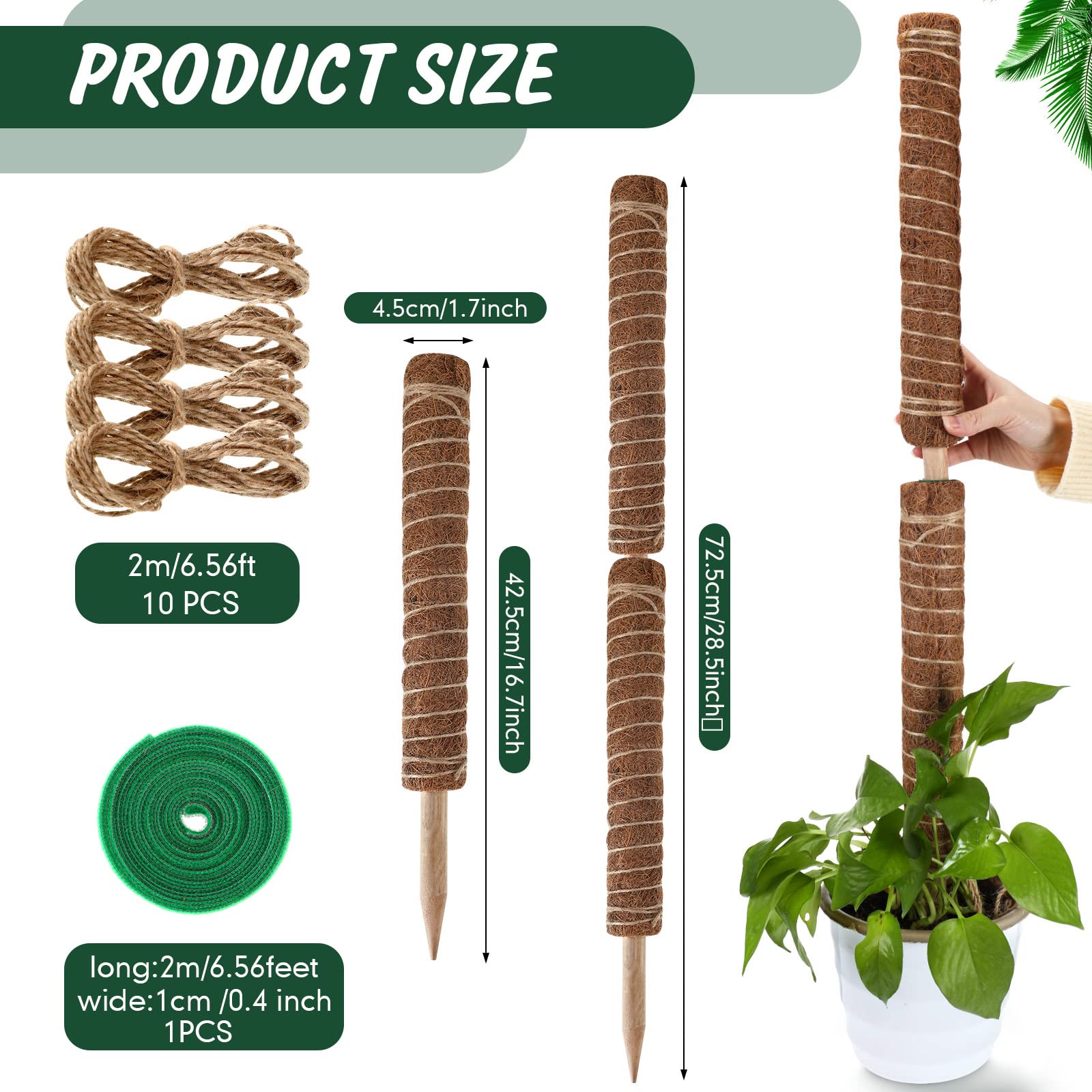 Amazon.com : 30 Pcs Moss Pole for Plants Monstera 16.5 Inch