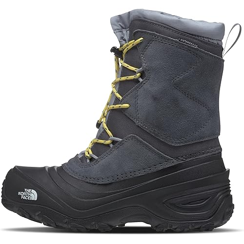 THE NORTH FACE Unisex-Child Alpenglow V Waterproof Insulating Thermafelt Liner for Warmth at-25f Snow Boot