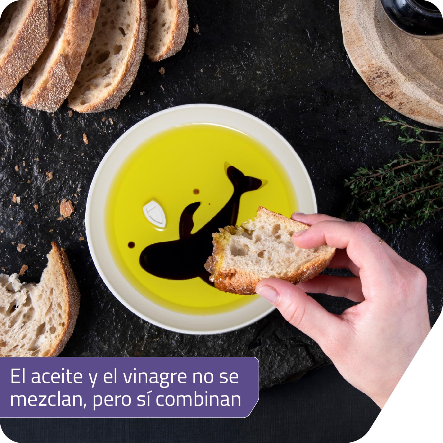 PELEG DESIGN Dip Sea Plato para Salsas Ballena – Recipiente para Aceite de Oliva y Vinagre Balsámico, Cuenco para Soja y Aperitivos, Diseño Divertido y Original, Apto para Lavavajillas