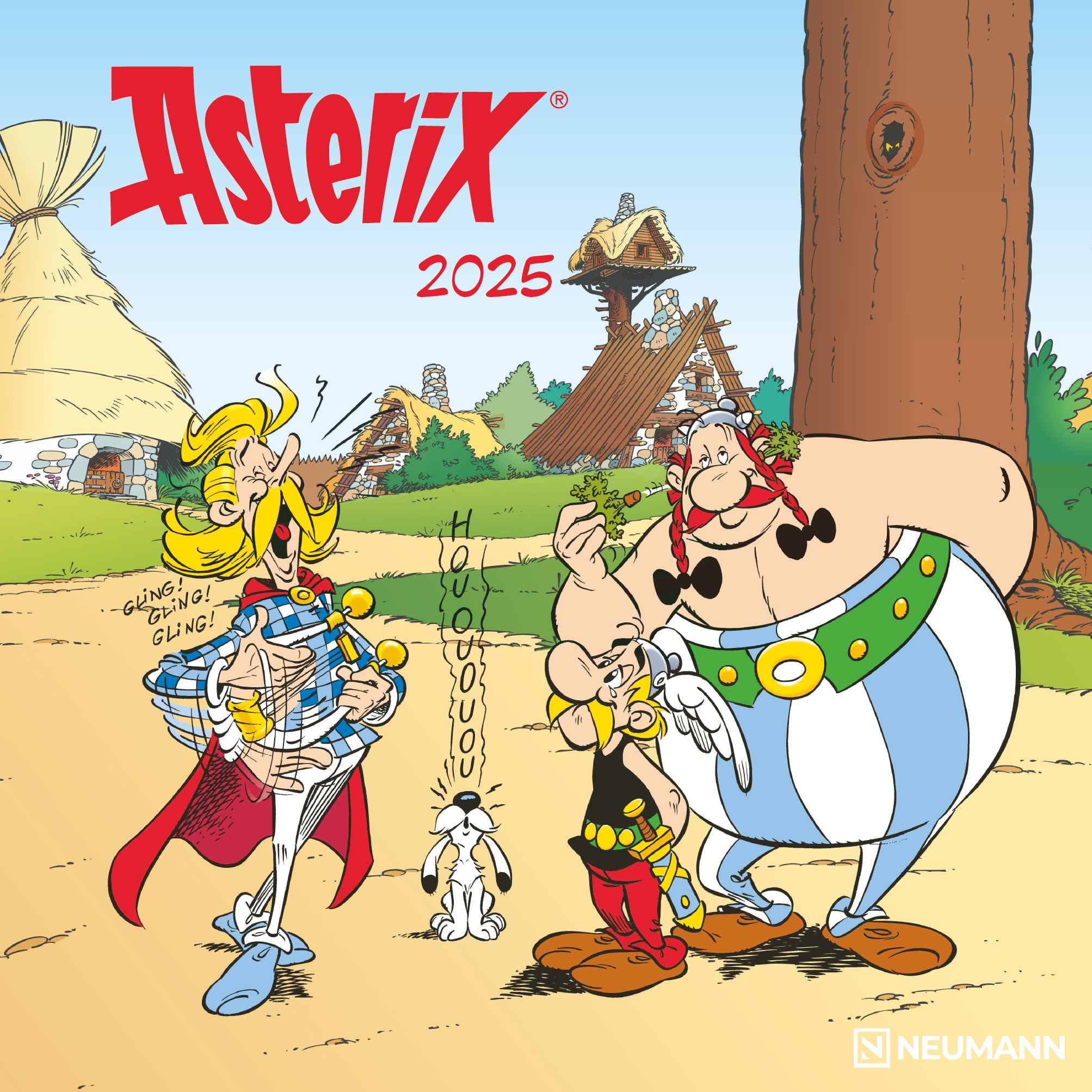 N NEUMANNVERLAGE - Asterix 2025 Brochure Calendar, 30 x 30 cm, Wall Calendar with Funny Asterix Illustrations, International Holidays and Moon Phases, Plenty of Space for Notes