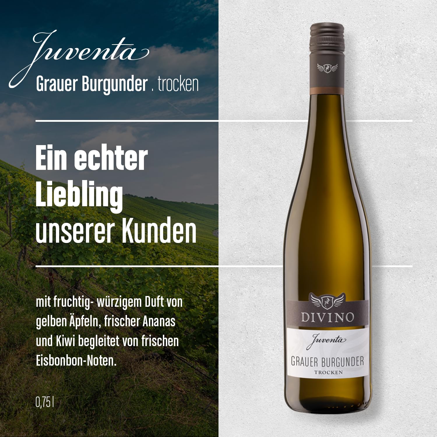 DIVINO Juventa Frankenwein Probierpaket - Silvaner, Grauer Burgunder, Scheurebe, Rotling, Merlot, Cuvée - Qualitätsweine direkt aus den Weinbergen Frankens (6 x 0,75l)