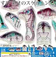 セール★限定販売★オリジナル商品【透明標本作製キット】全17点 ネイチャーテクニカラー いきもん公式 on X: 