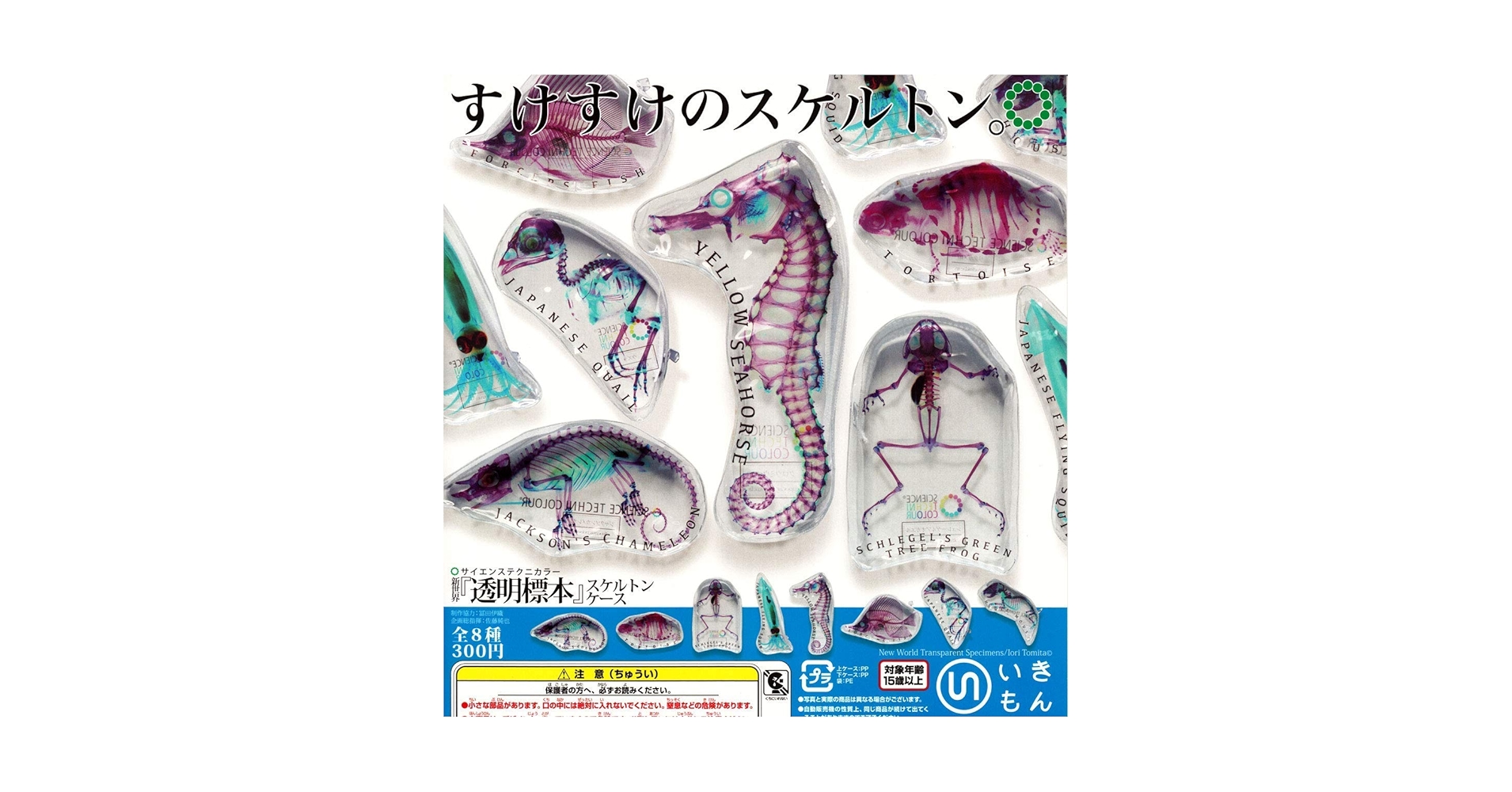 81-BJ5108LL.jpg_BO30,255,255,