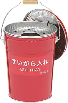 81-BJuLVpZL._AC_UF350,