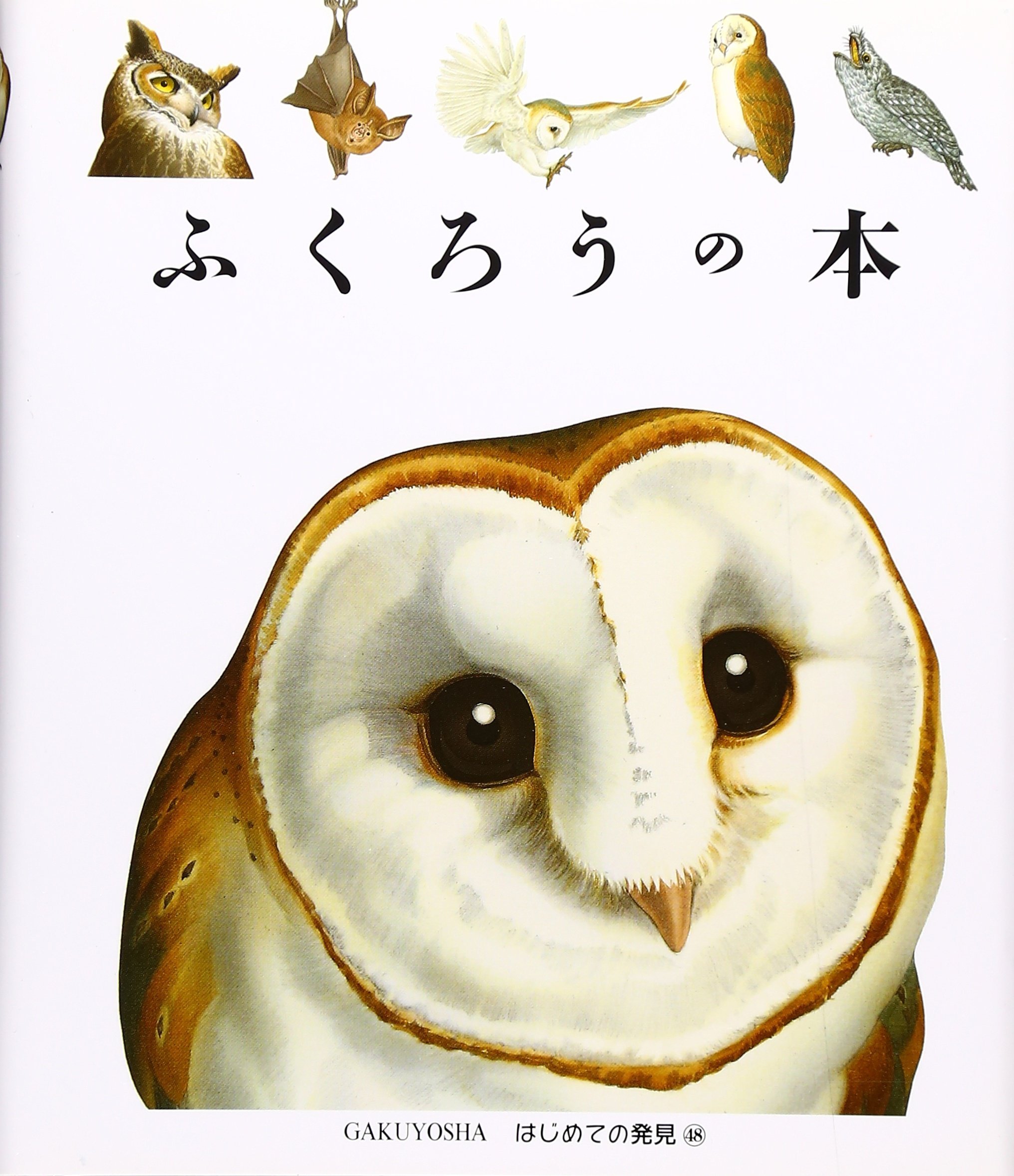 読書 フクロウ ビックサイズ フィギュリン 梟 知識の象徴 bigサイズ フィギュリン 読書フクロウ - メルカリ