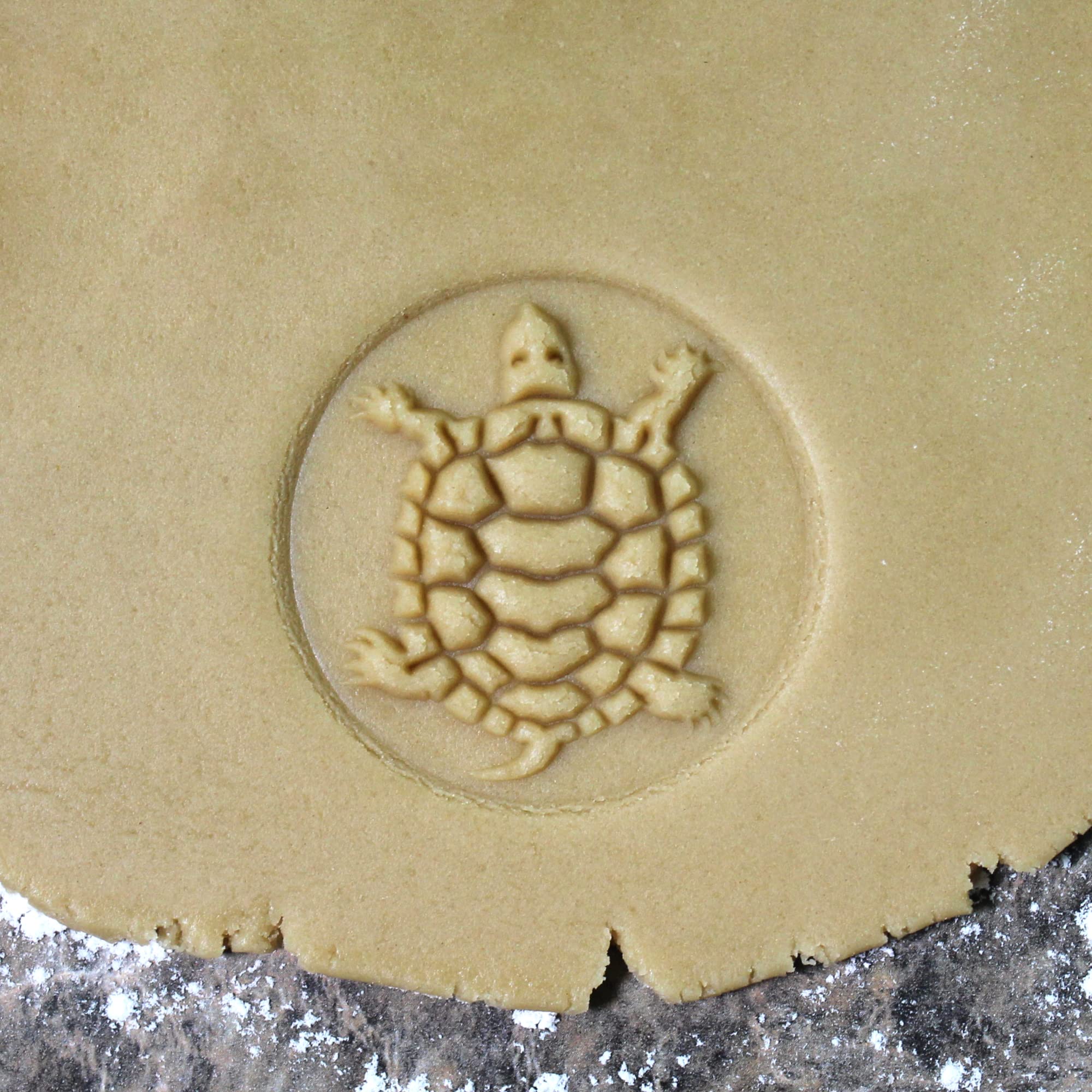 Sello de madera de la galleta, 2.5 pulgadas (tortuga CS-006)