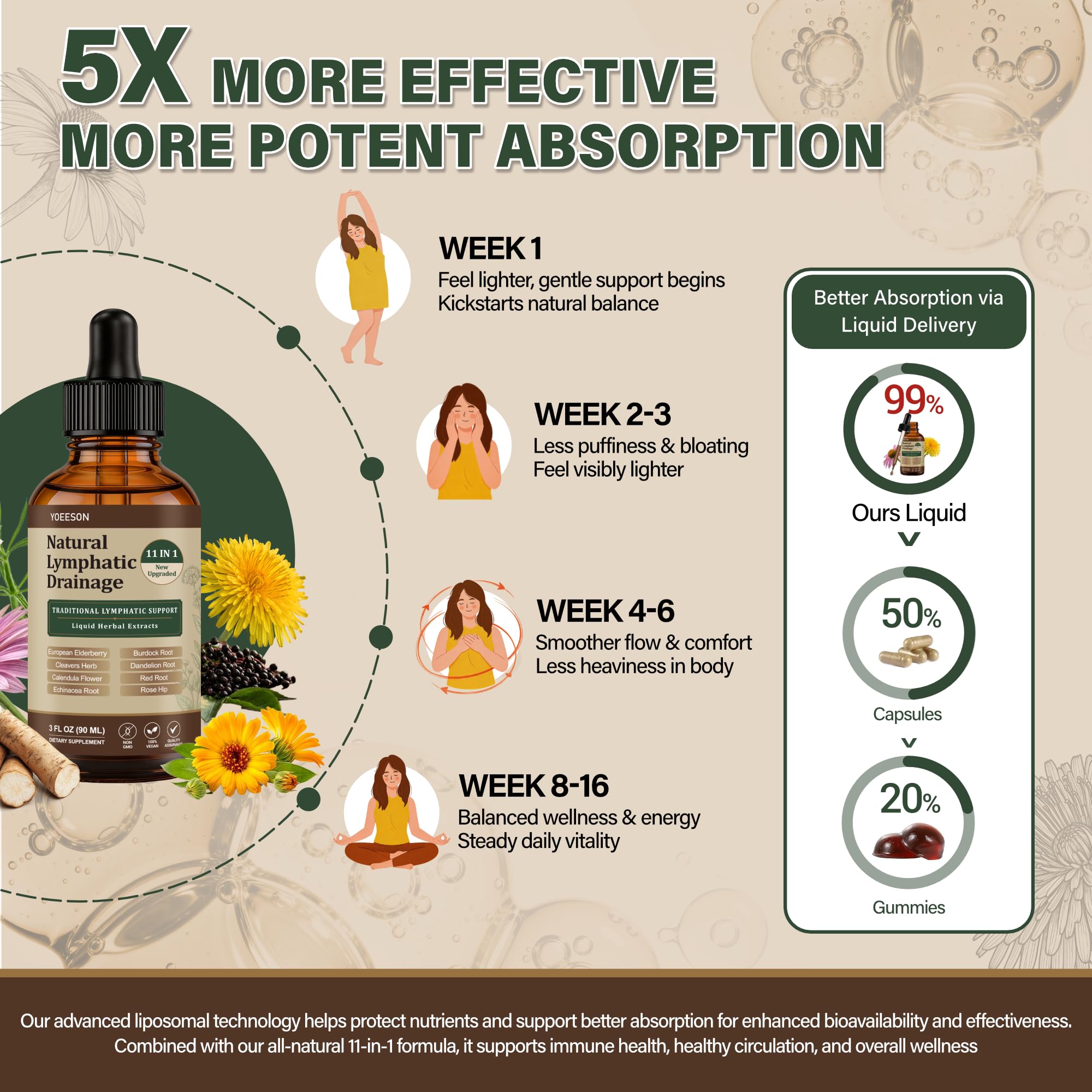90 Day Supply - Natural Lymphatic Drainage Drops, Alcohol-Free Vegan 11-in-1 Herbal Supplement with Cleavers, Elderberry, Echinacea & Burdock, Supports Lymphatic Wellness, Bloat & De-Puff Support — Amazon image 3