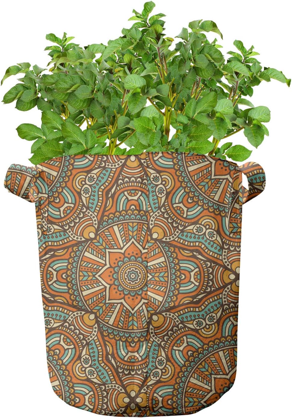 Ambesonne Traditional Grow Bags 5-Pack, Boho Moroccan Star, Heavyduty Fabric Pots with Handles for Plants, 5 Gallon, Multicolor