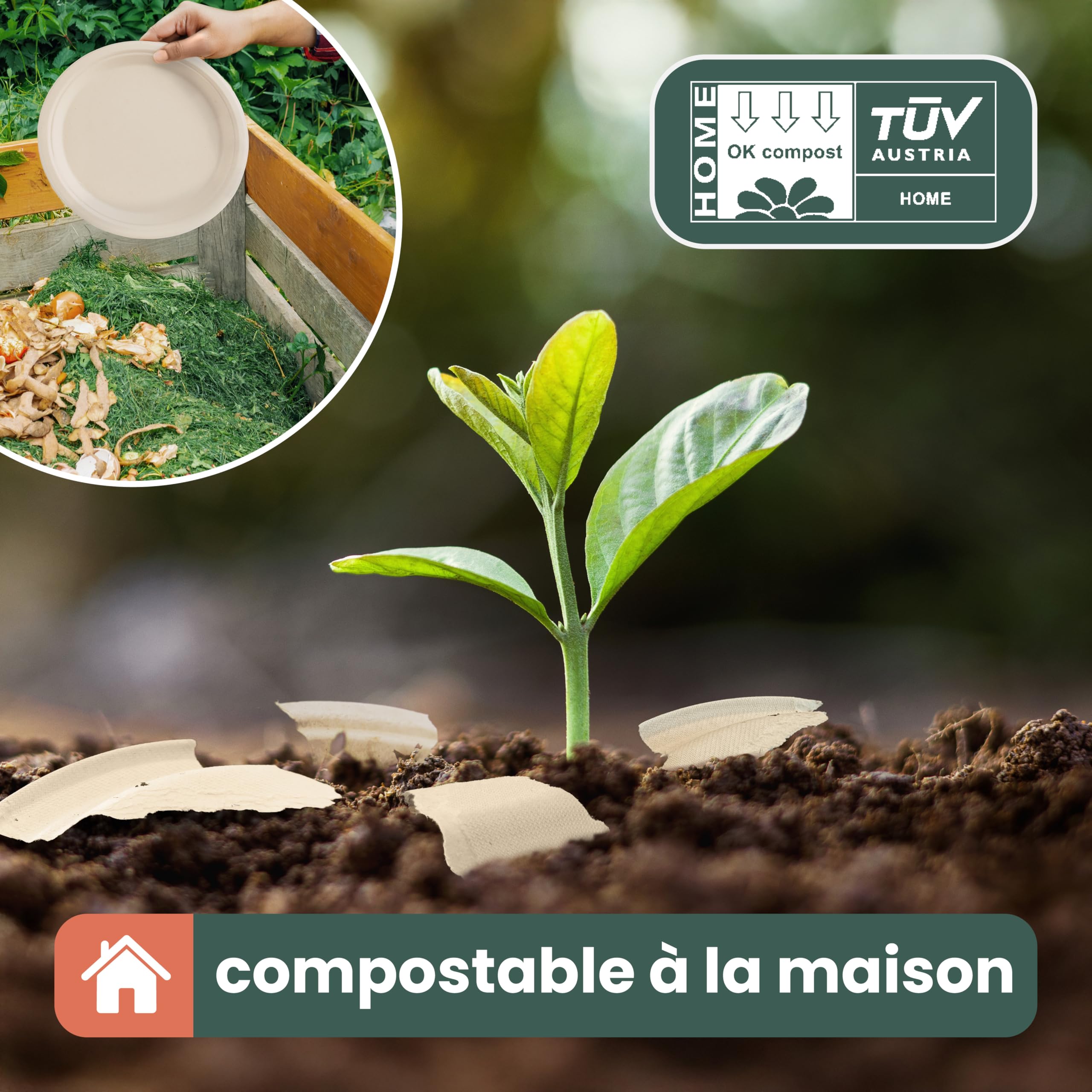 HAAGO 100 Assiettes Jetables Solides & Compostables 26 cm / 10" – Canne à Sucre (Bagasse) – Assiettes Carton Rigides, Anti-Graisse & Anti-Fuites – Pour Chaud & Froid, Buffet, BBQ, Traiteur