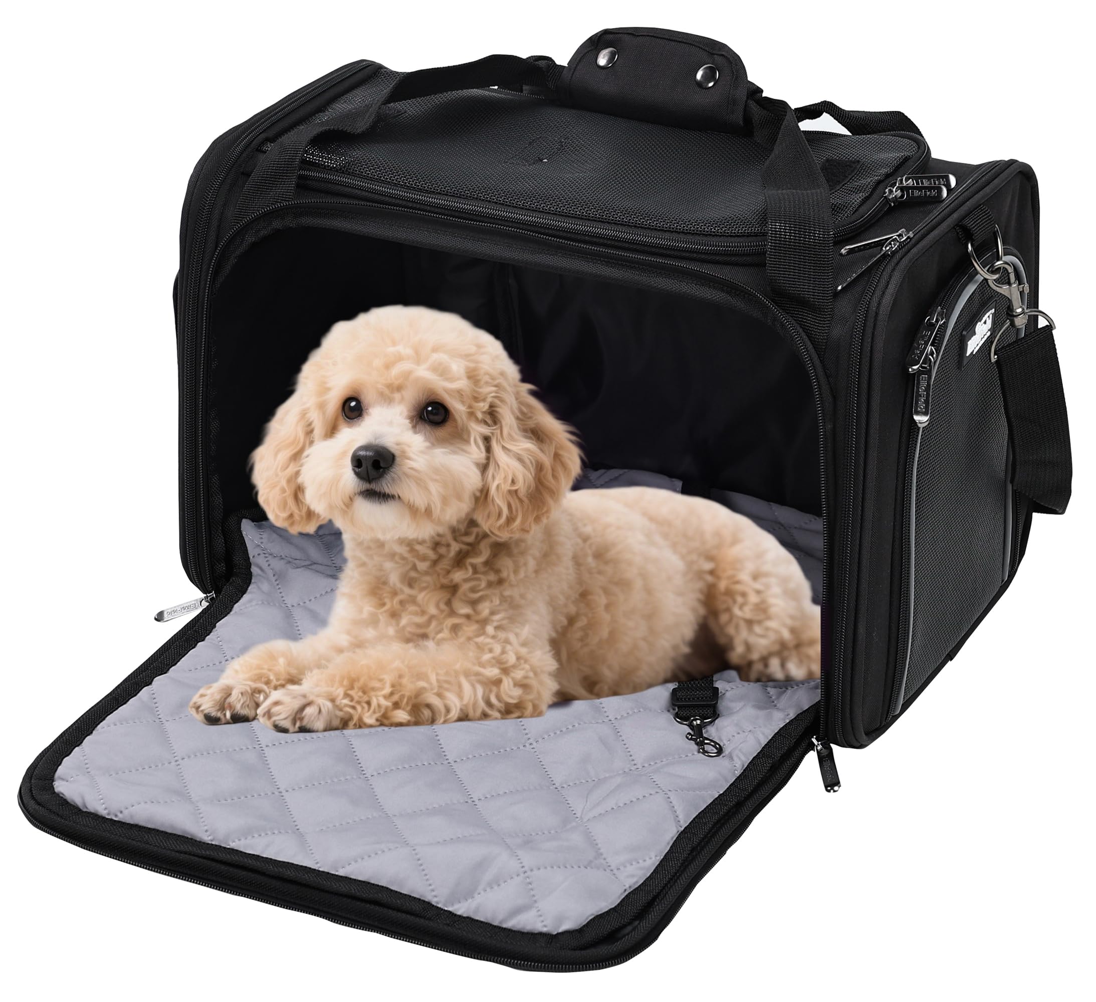 EliteField Deluxe Soft-Sided Pet Carrier (3 Year Warranty, Airline Approved), Travel Bag for Dogs, Cats & Small Pets, with Expandable Mat
