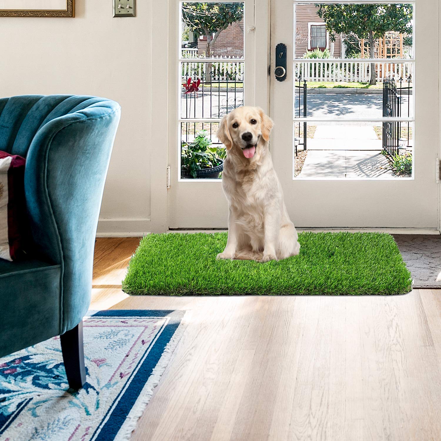 imhapPEE Ultra Soft Artificial Grass Rug for Dogs - Realistic 4 Tone Puppy Potty Training 20" by 30" 4