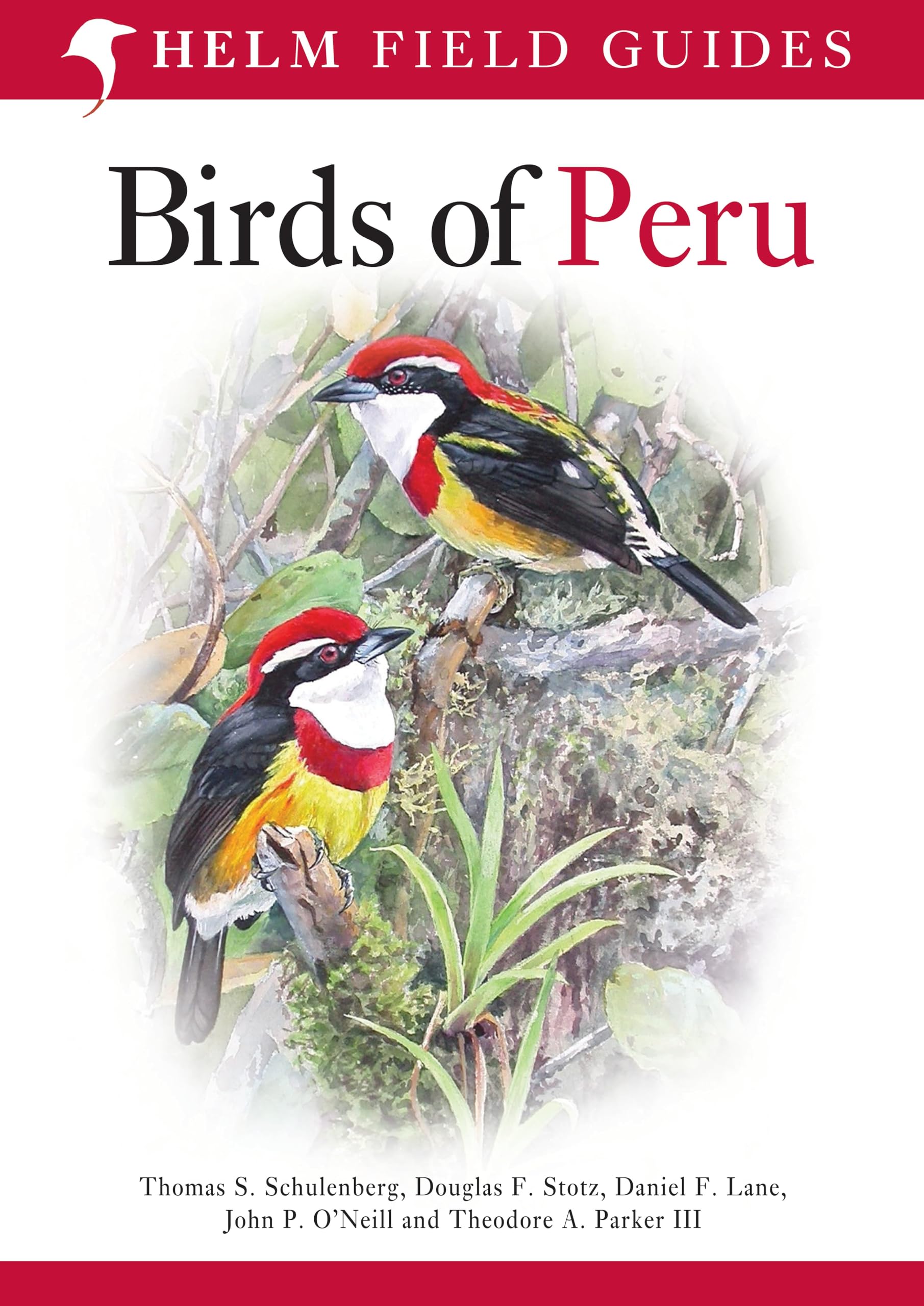 Field Guide to Birds of Peru (Helm Field Guides)