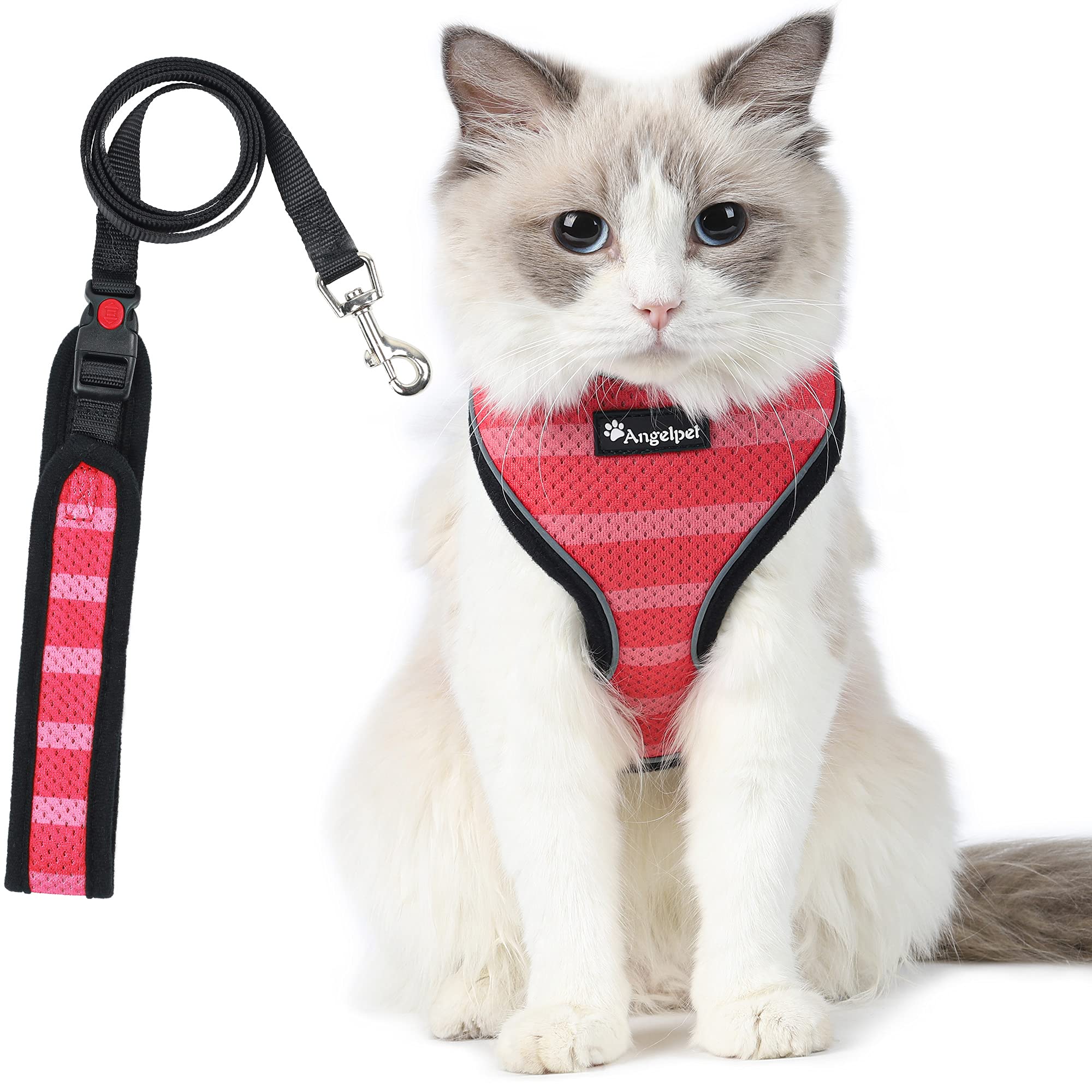 Amazon.co.jp: 猫 猫用 ハーネス 胴輪 猫具 ねこ ネコ 子猫 子犬 小型